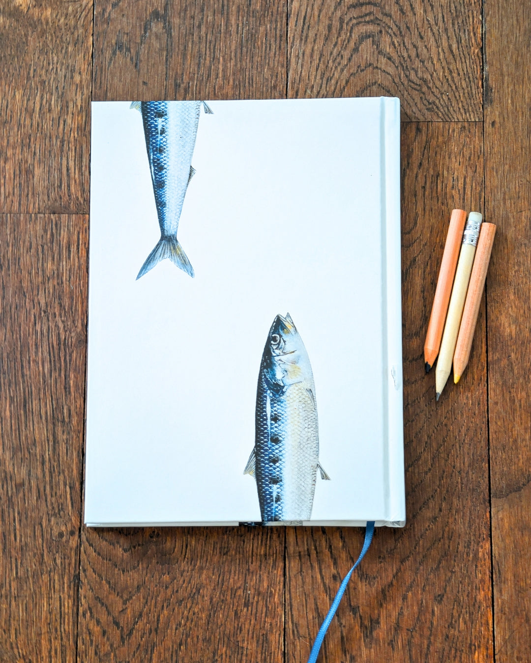 Carnet de note A5 : Les Sardines