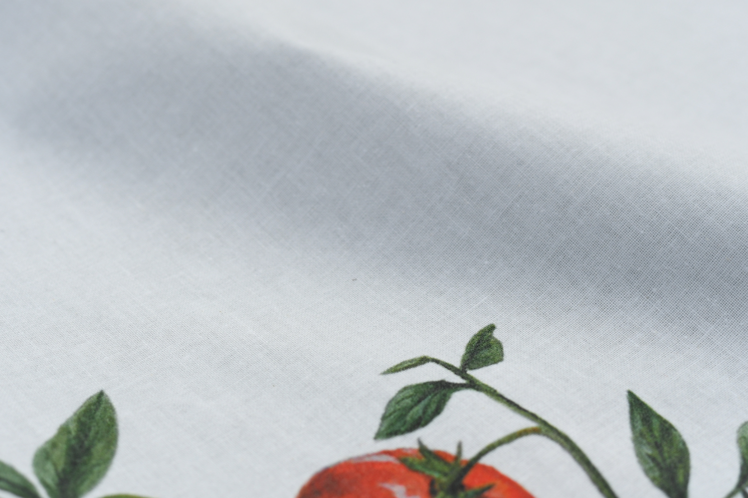 Nappe enduite en coton rectangulaire 250 x 160 cm