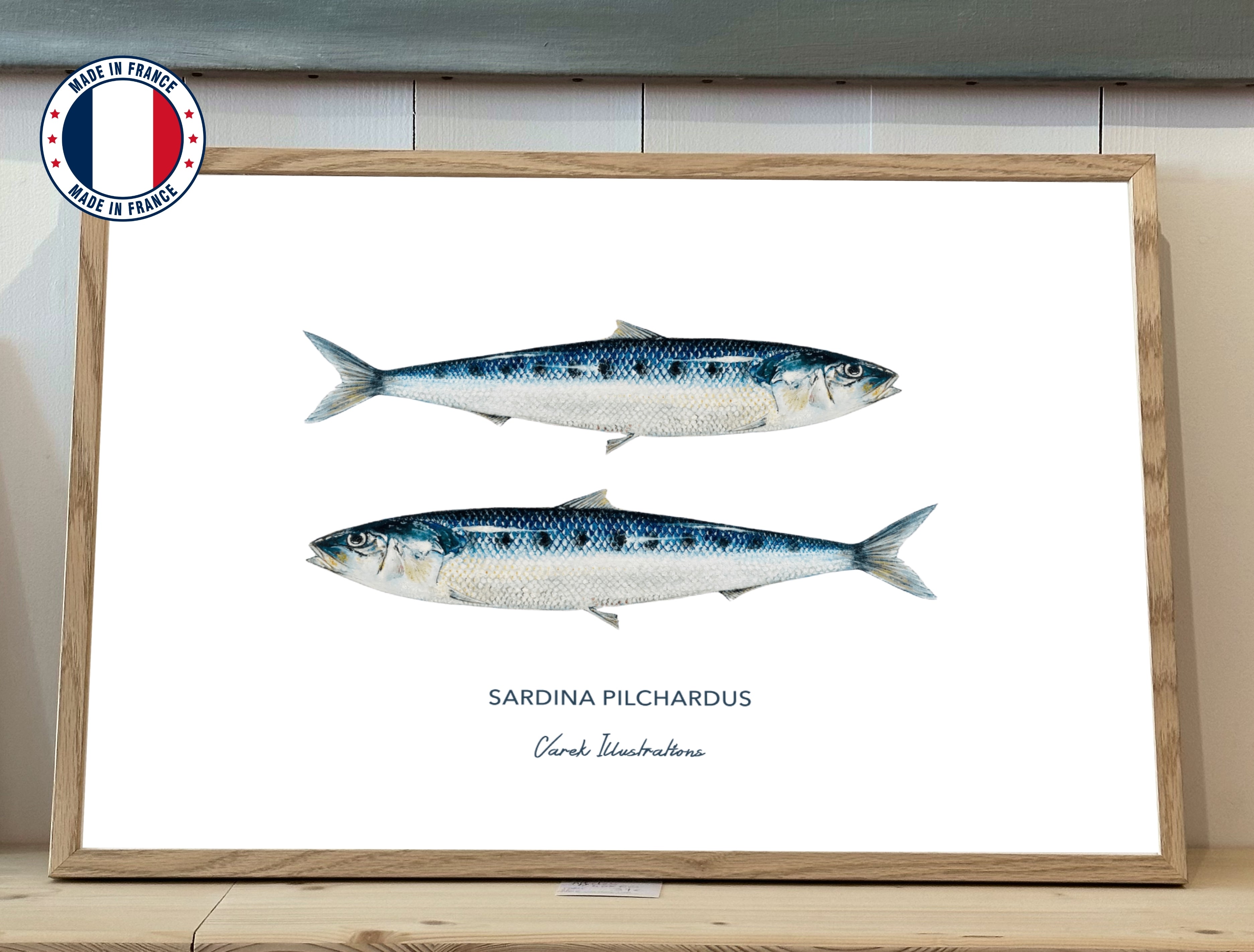 Affiche Les Sardines