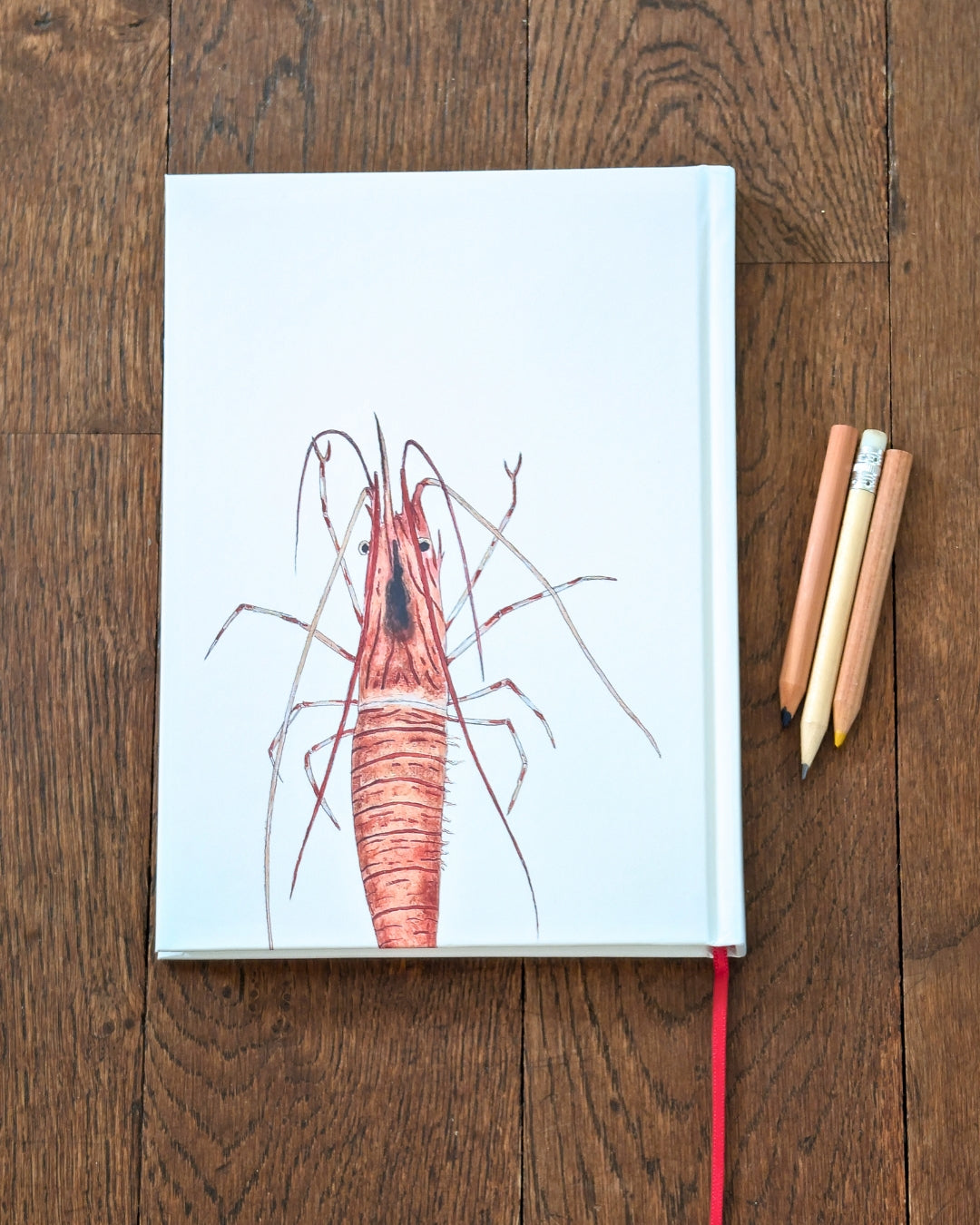 Carnet de note A5 : La Crevette