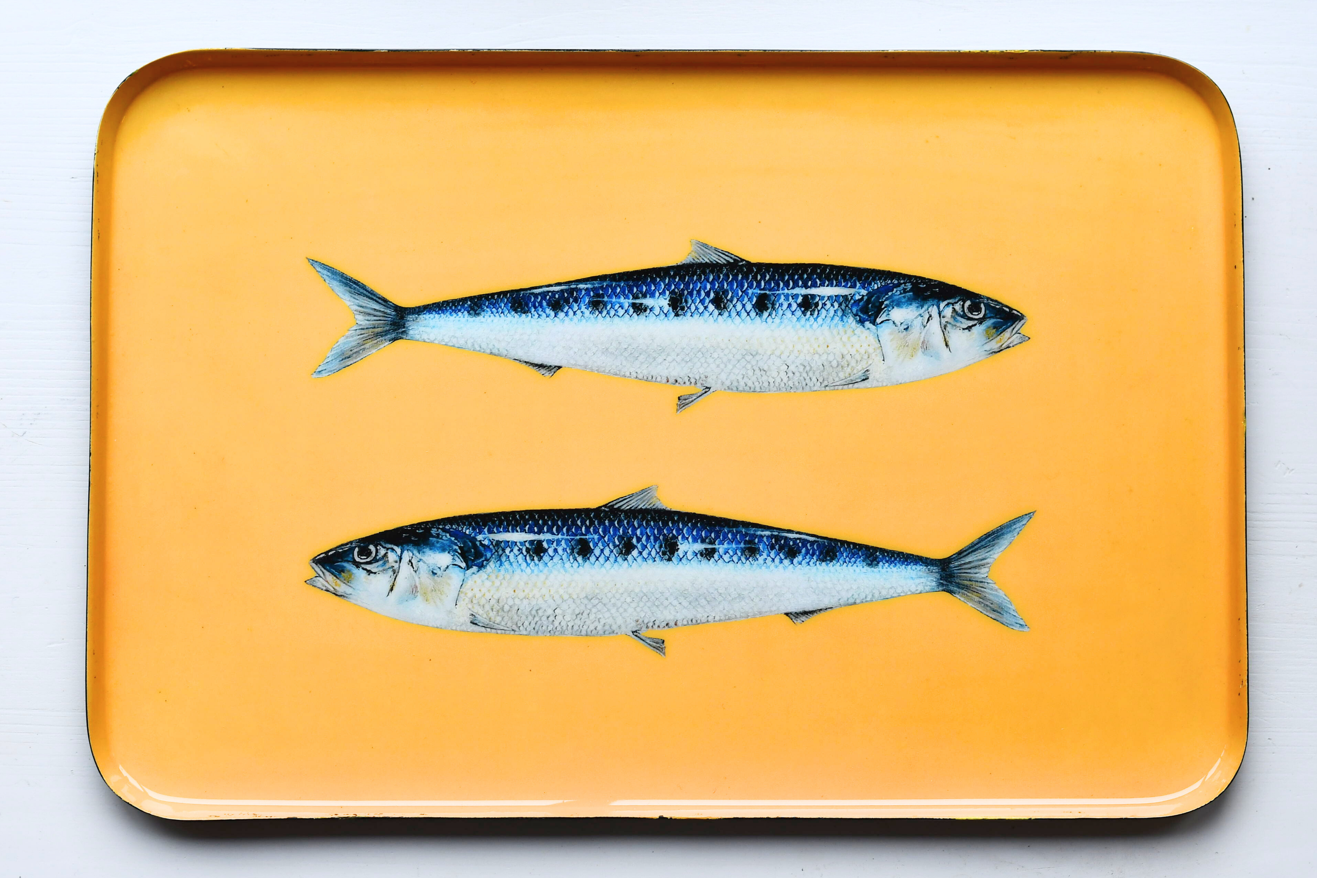 Plateau en aluminium émaillé 45 x 30 cm : Les Sardines