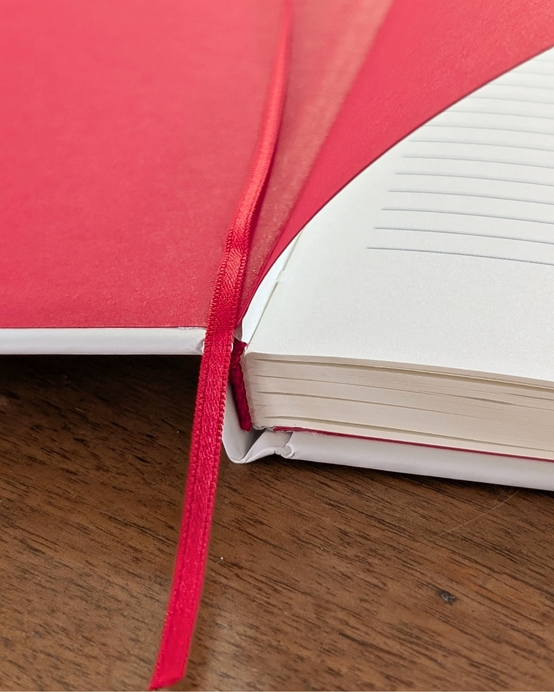 Carnet de note A5 : La Coquille Saint Jacques