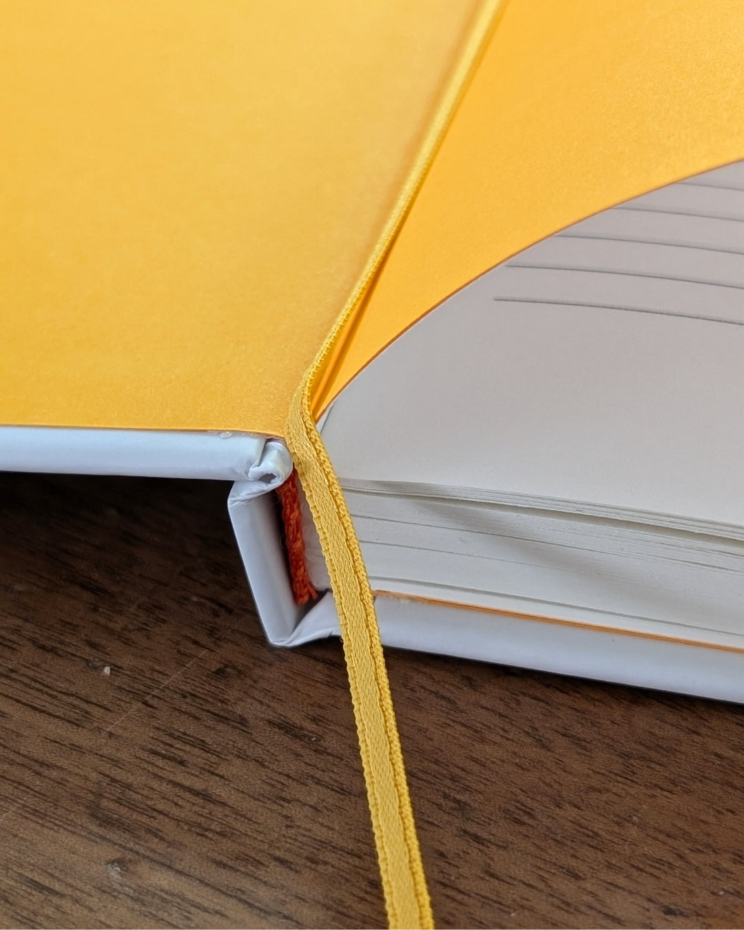 Carnet de note A5 : Le Poulpe