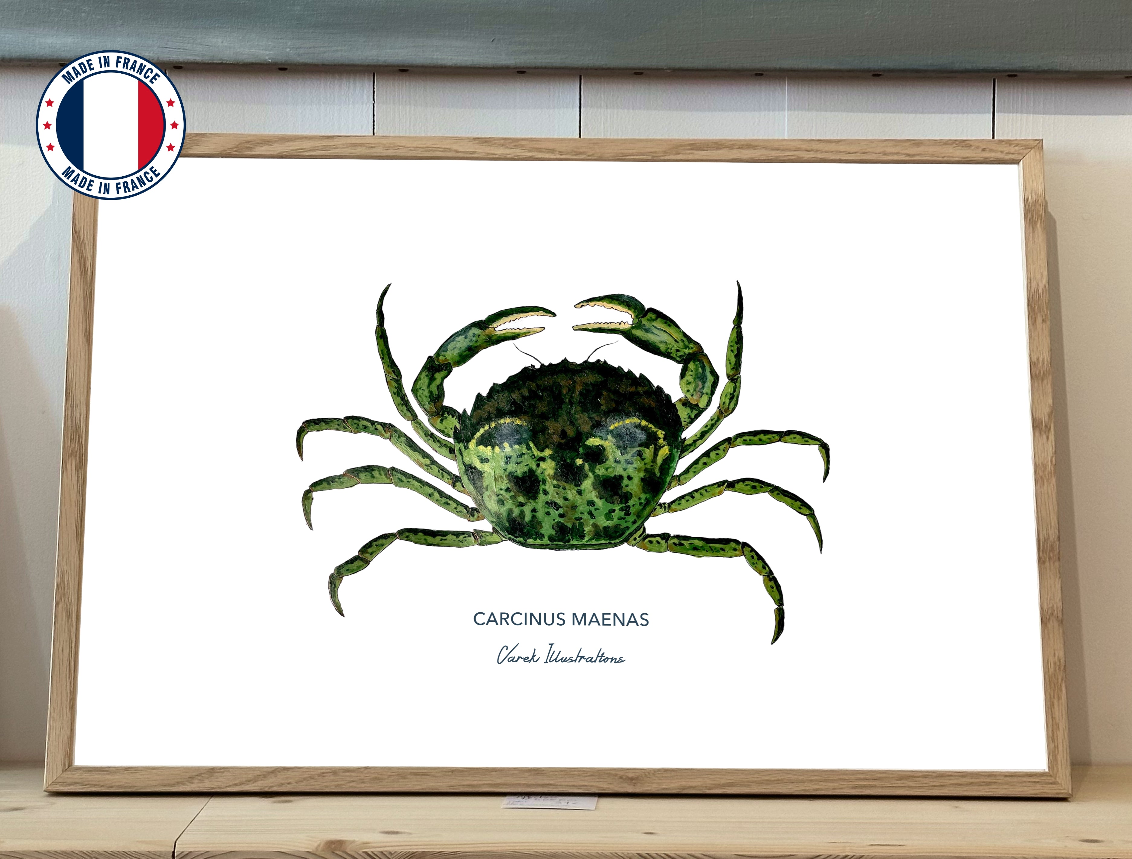 Affiche Le Crabe Vert