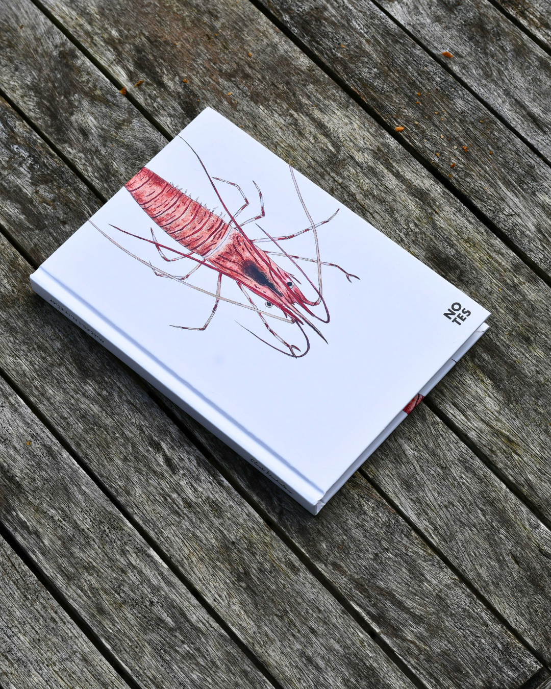 Carnet de note A5 : La Crevette