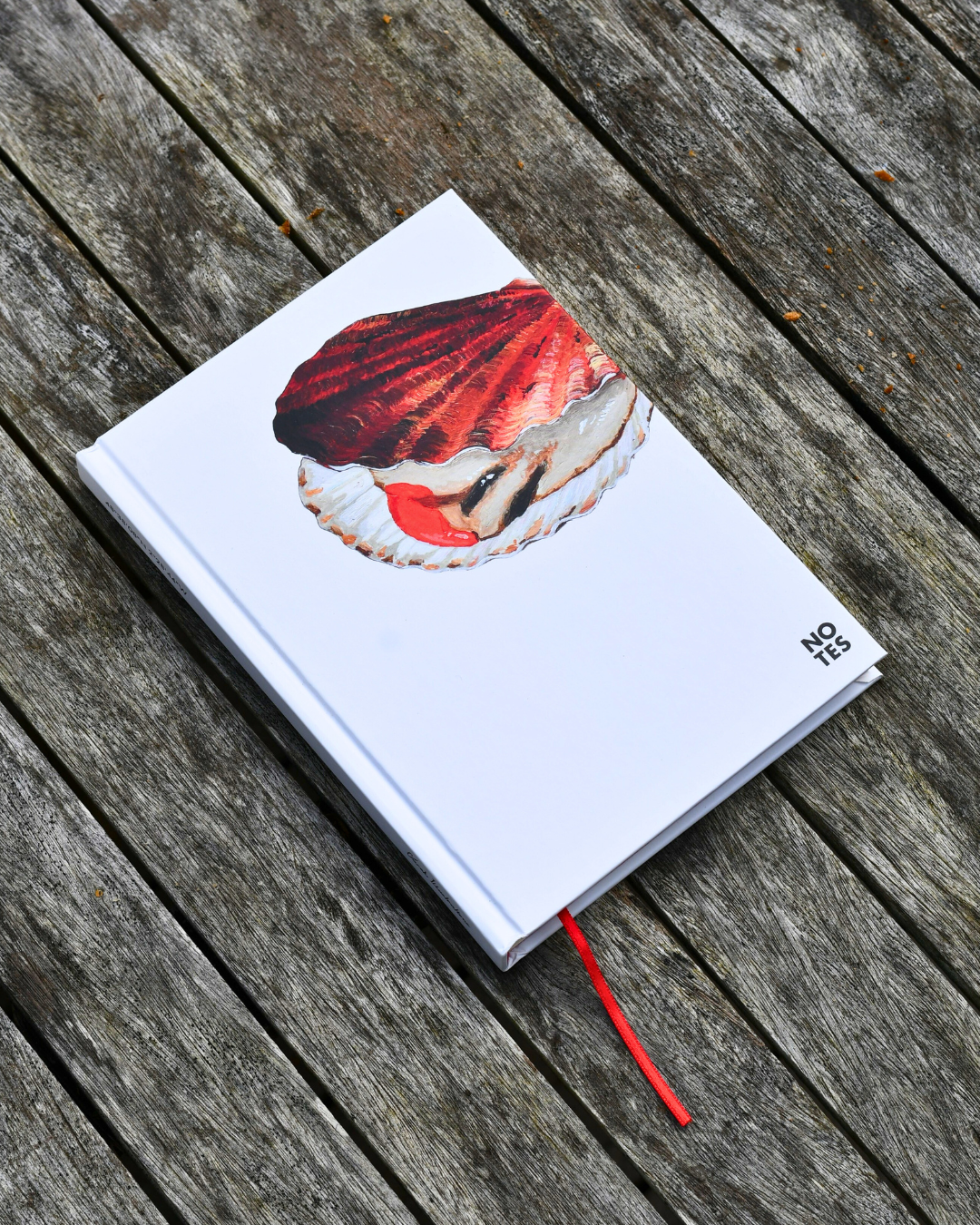 Carnet de note A5 : La Coquille Saint Jacques