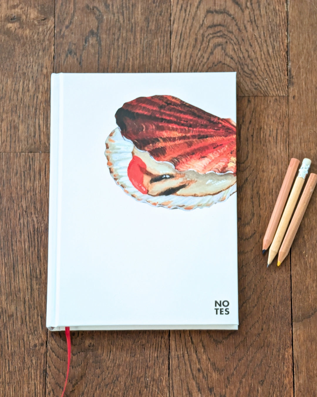 Carnet de note A5 : La Coquille Saint Jacques