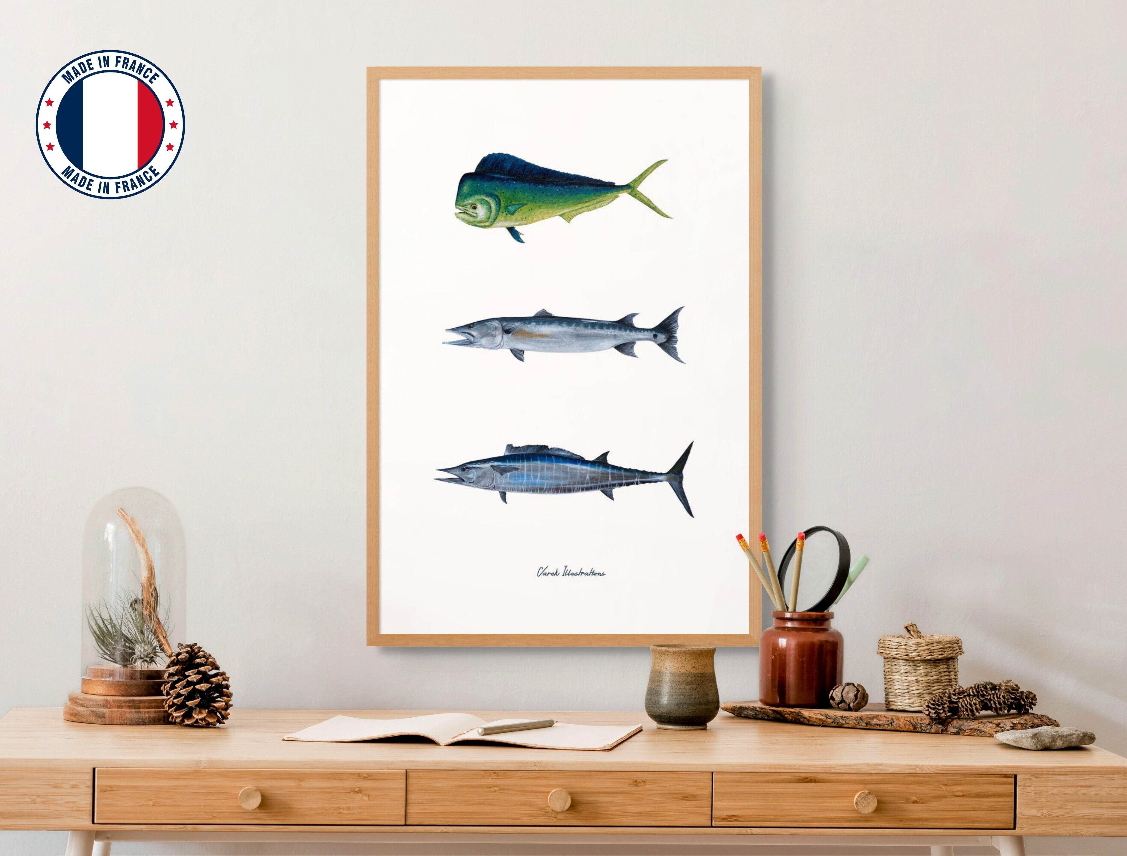 Affiche : Les Poissons Exotiques