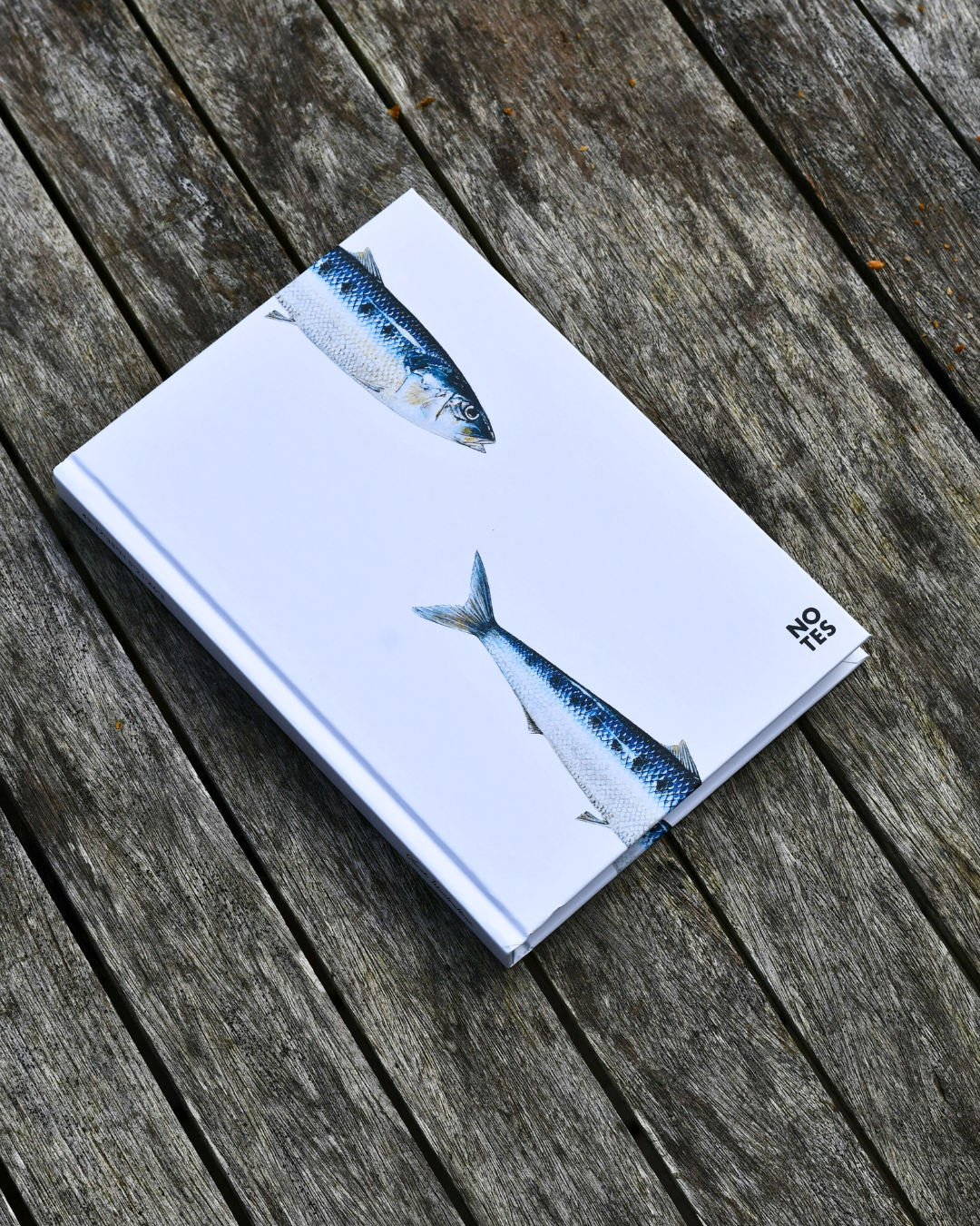 Carnet de note A5 : Les Sardines