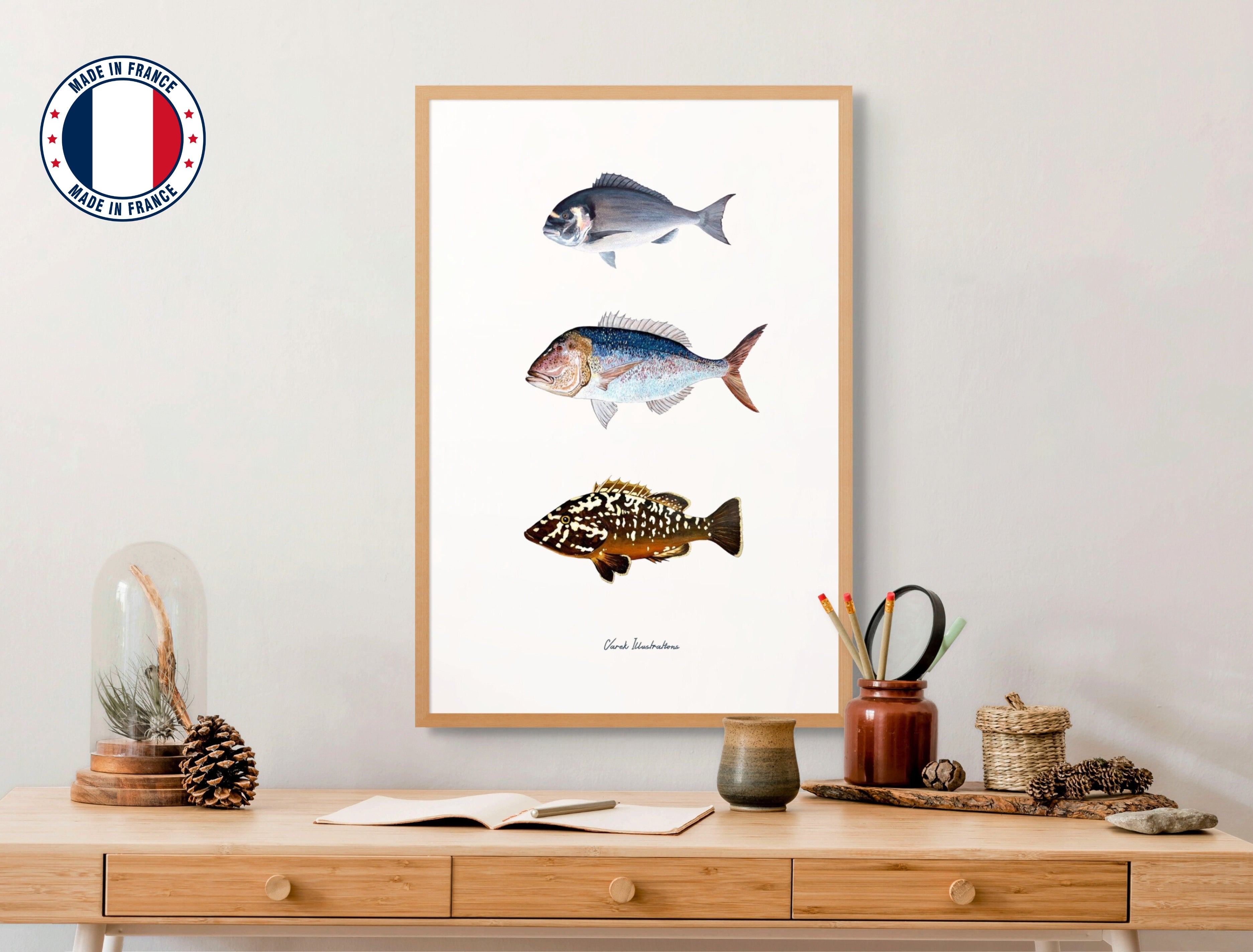 Affiche : Les Poissons de Méditerranée