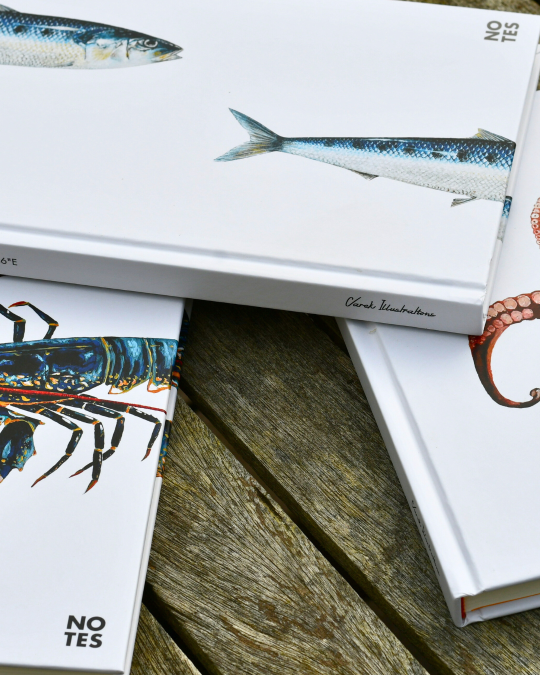 Carnet de note A5 : Les Sardines