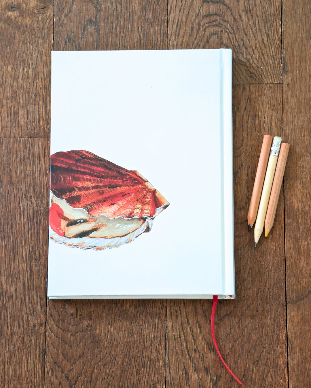 Carnet de note A5 : La Coquille Saint Jacques