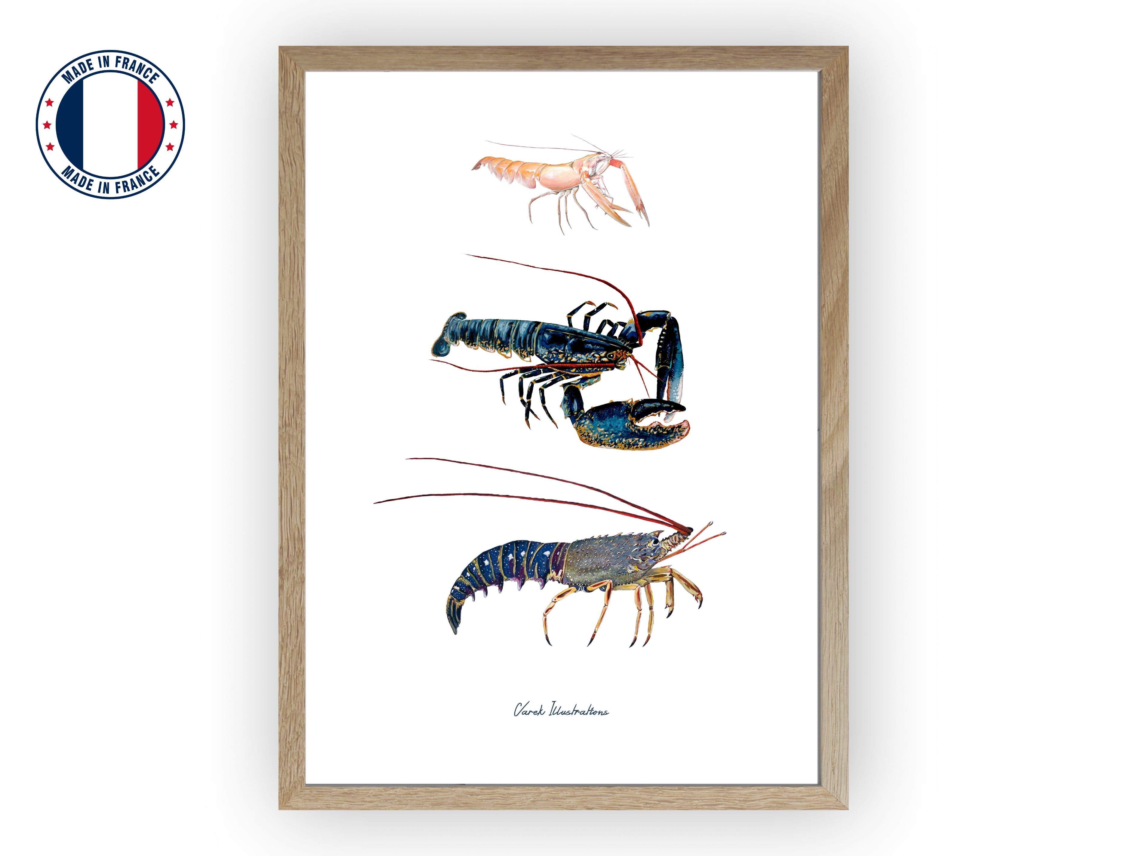 Affiche : Les Crustacés à Pinces