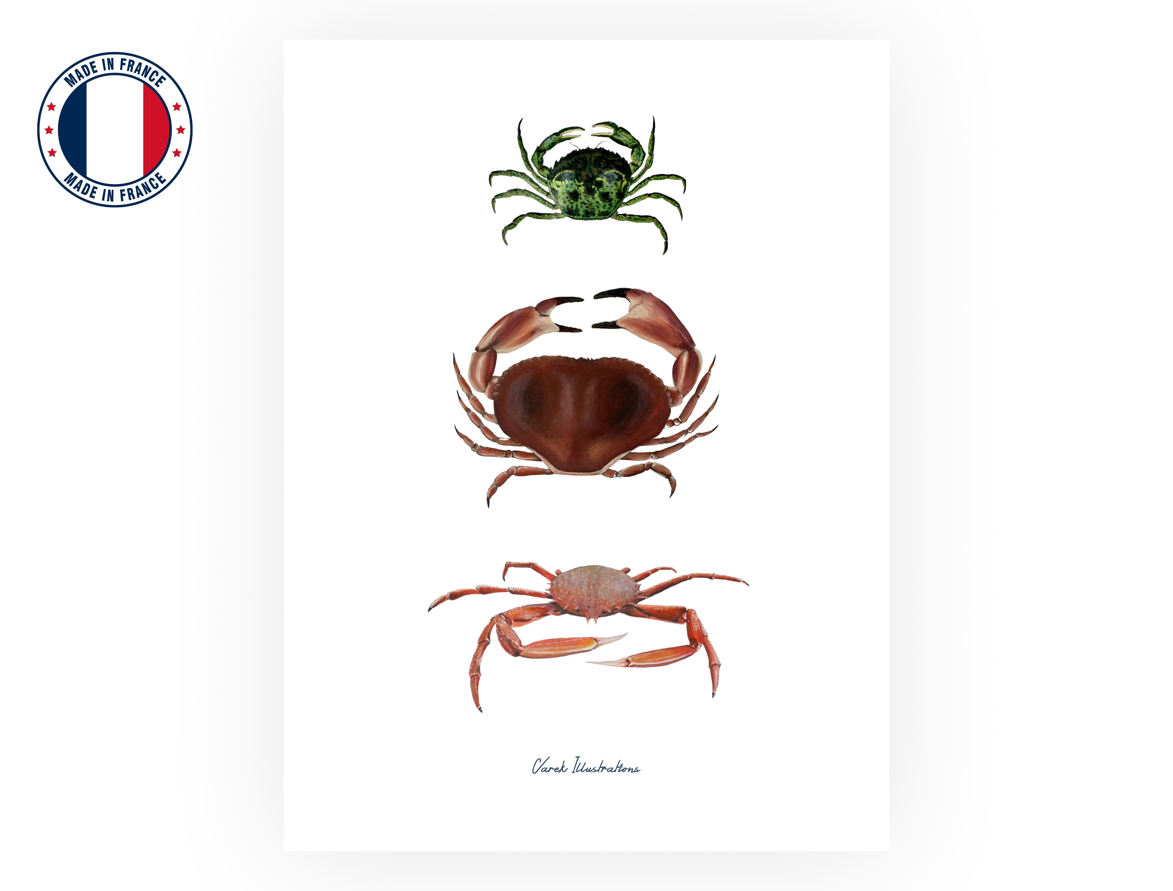 Affiche : Les Crabes