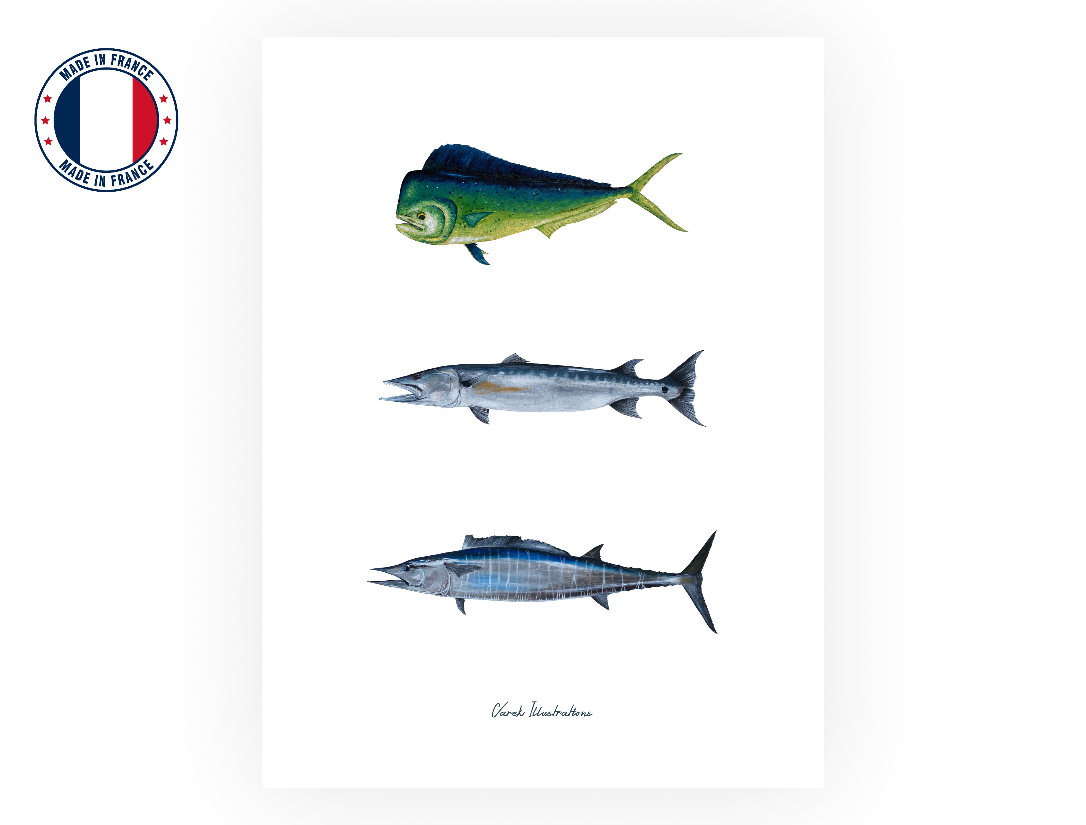 Affiche : Les Poissons Exotiques