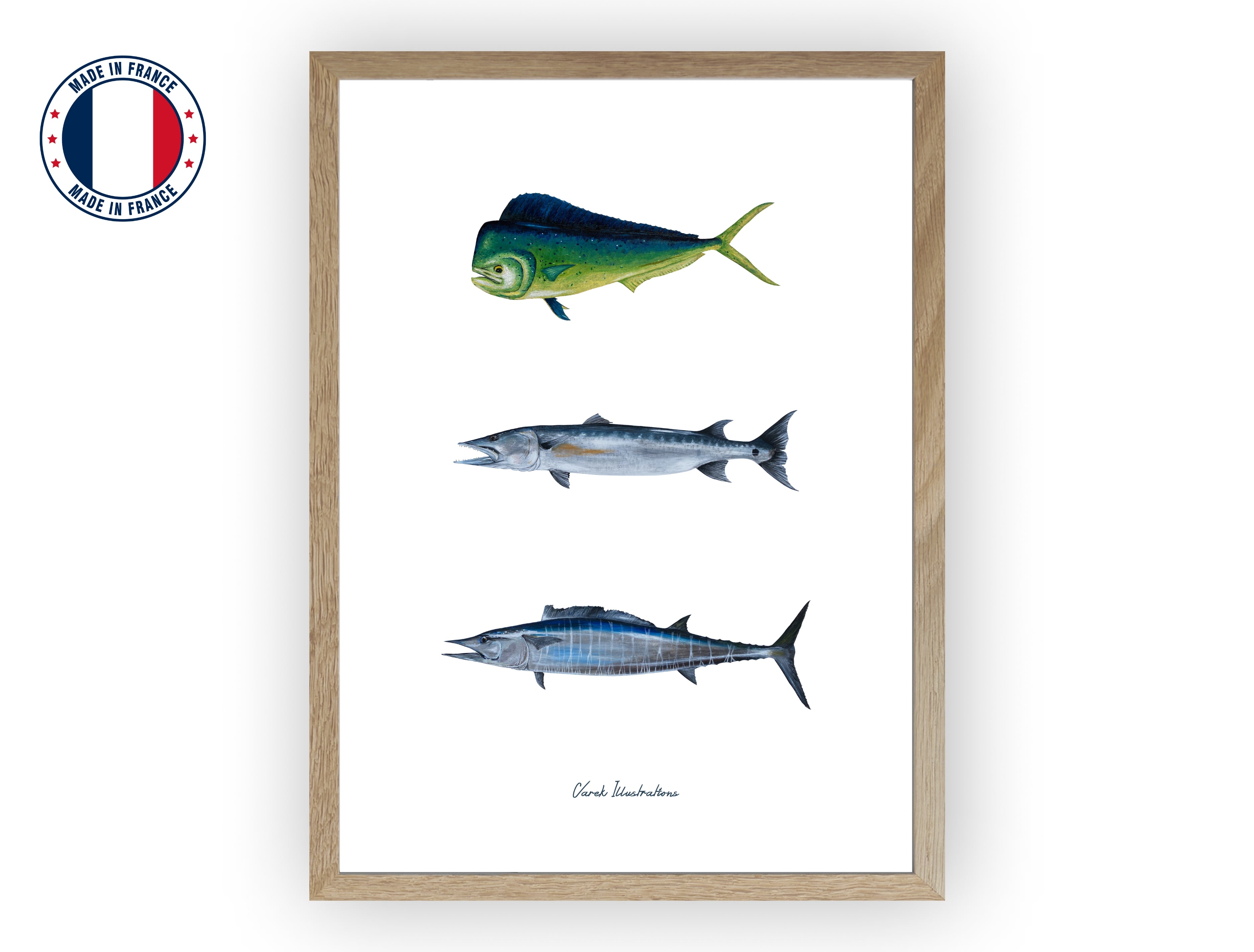Affiche : Les Poissons Exotiques