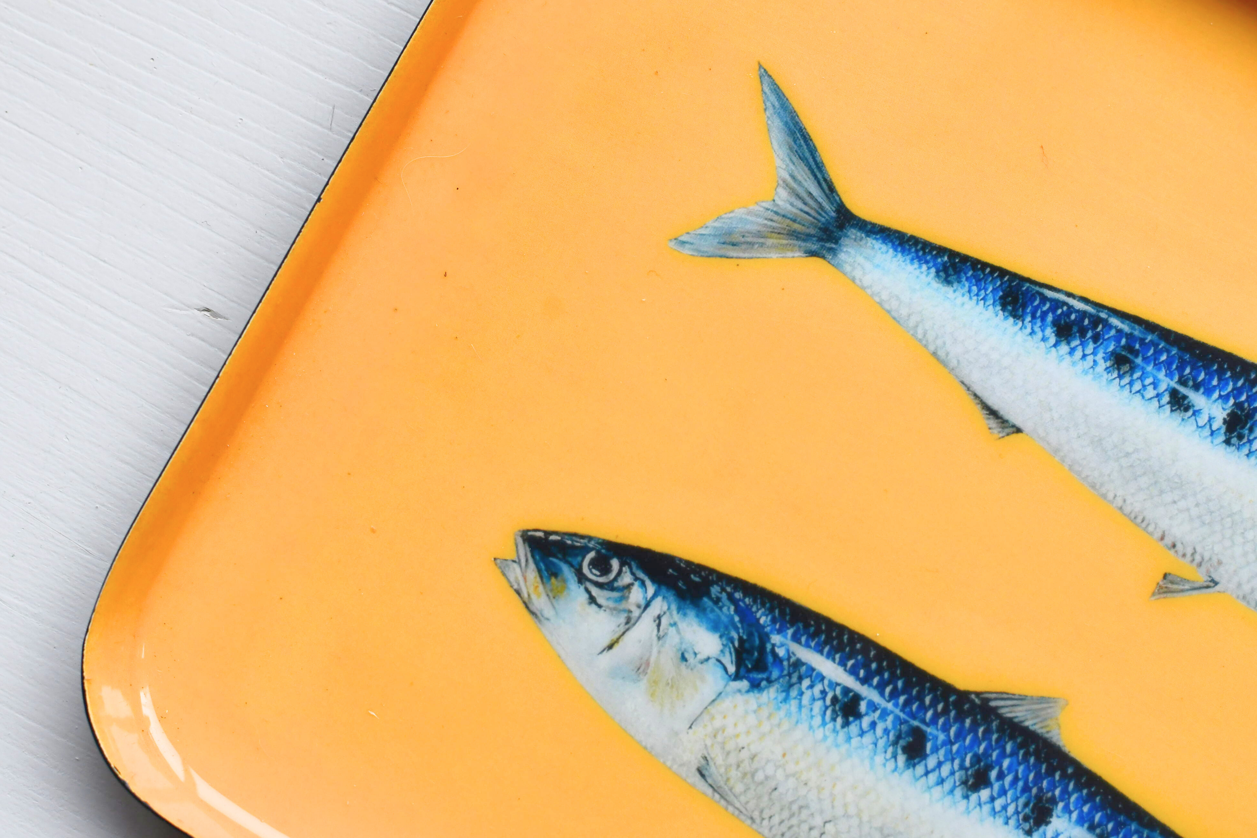 Plateau en aluminium émaillé 25 x 17 cm : Les Sardines