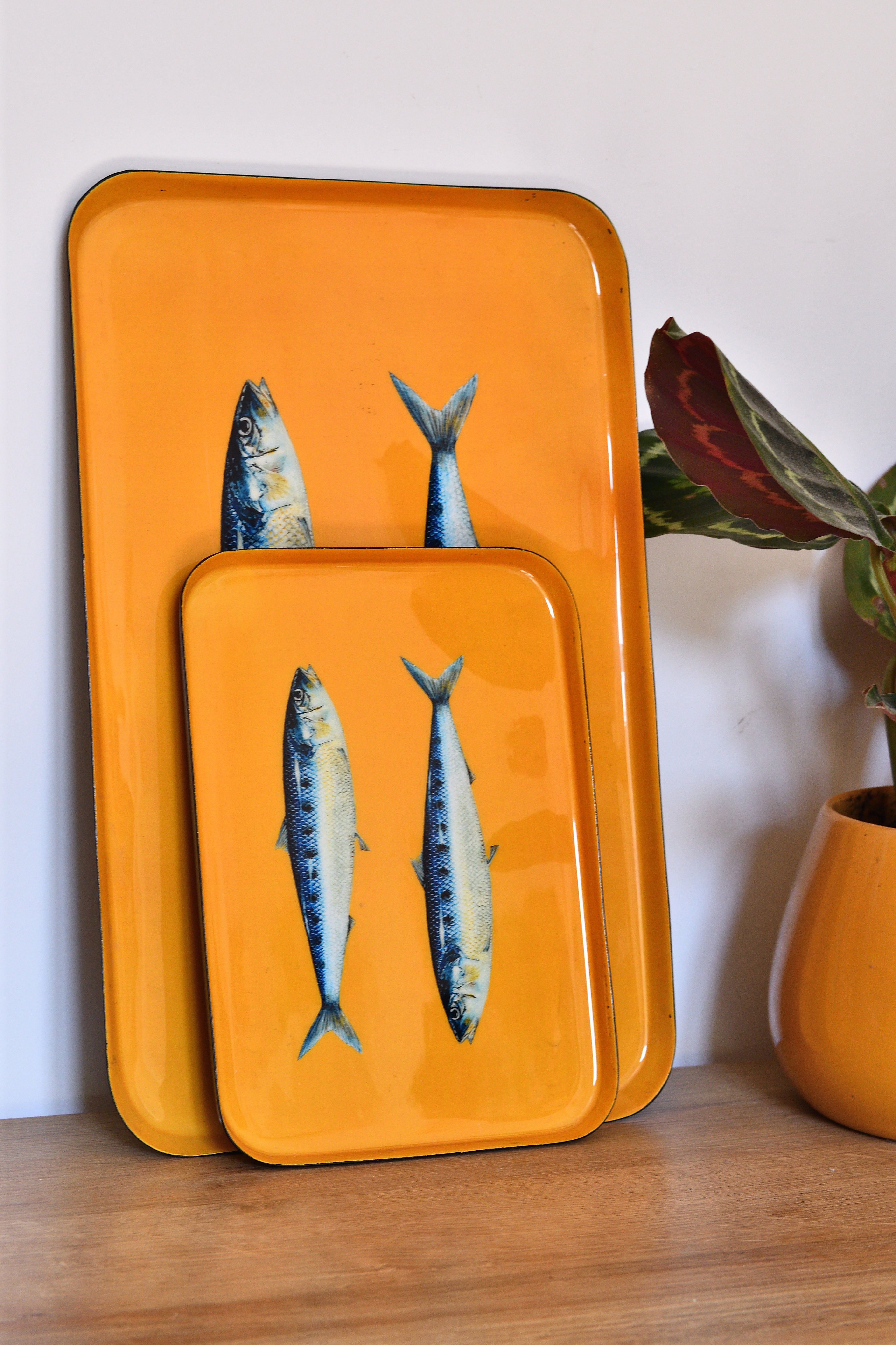 Plateau en aluminium émaillé 40 x 25 cm : Les Sardines