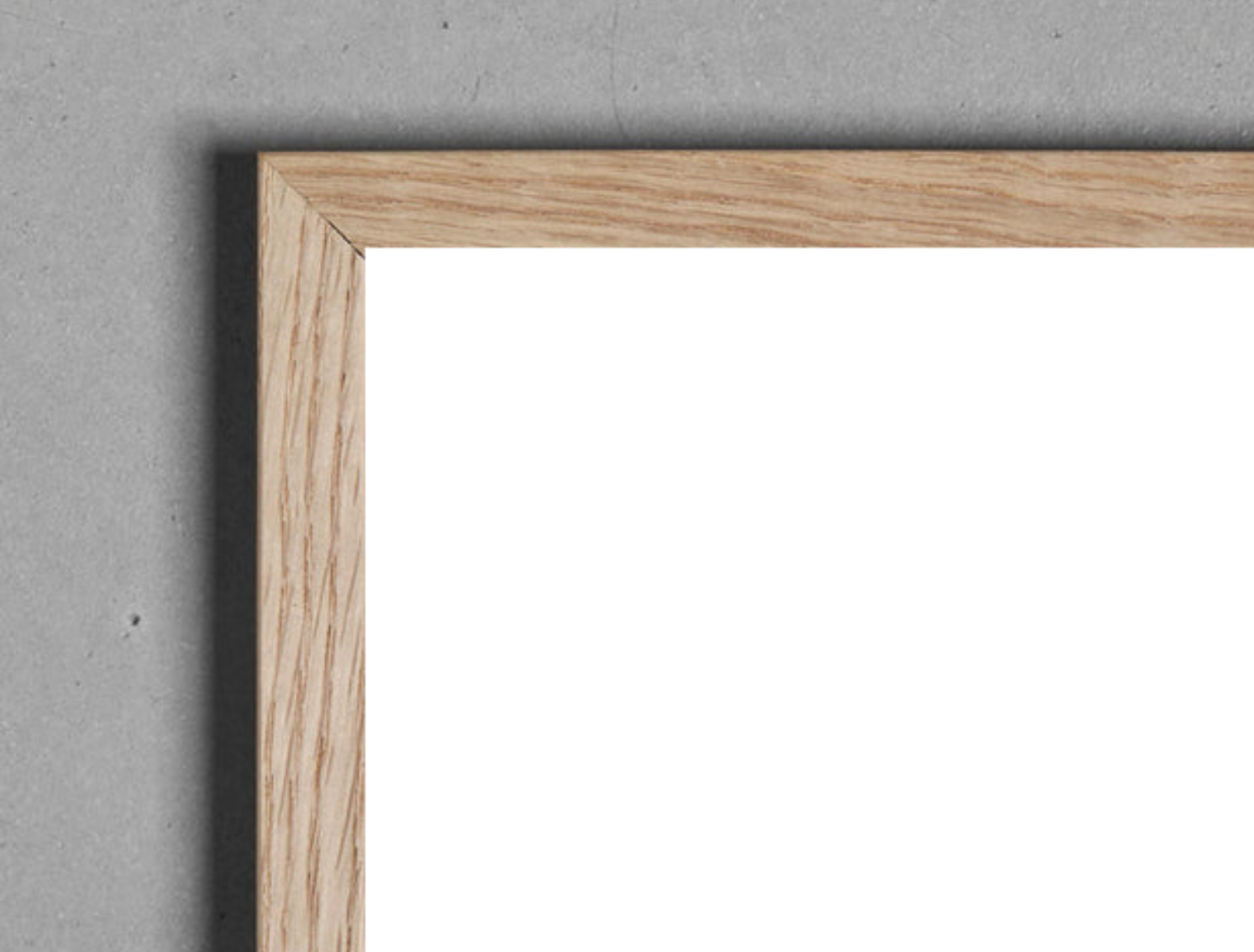 Triptyque Banc de Sardines