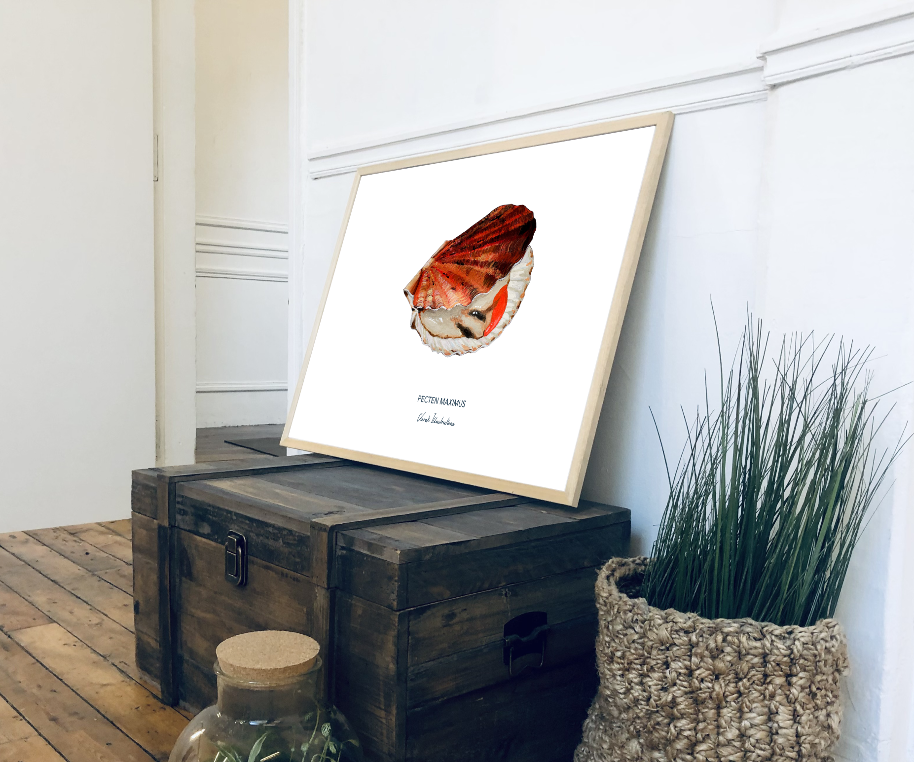 Affiche La Coquille Saint Jacques