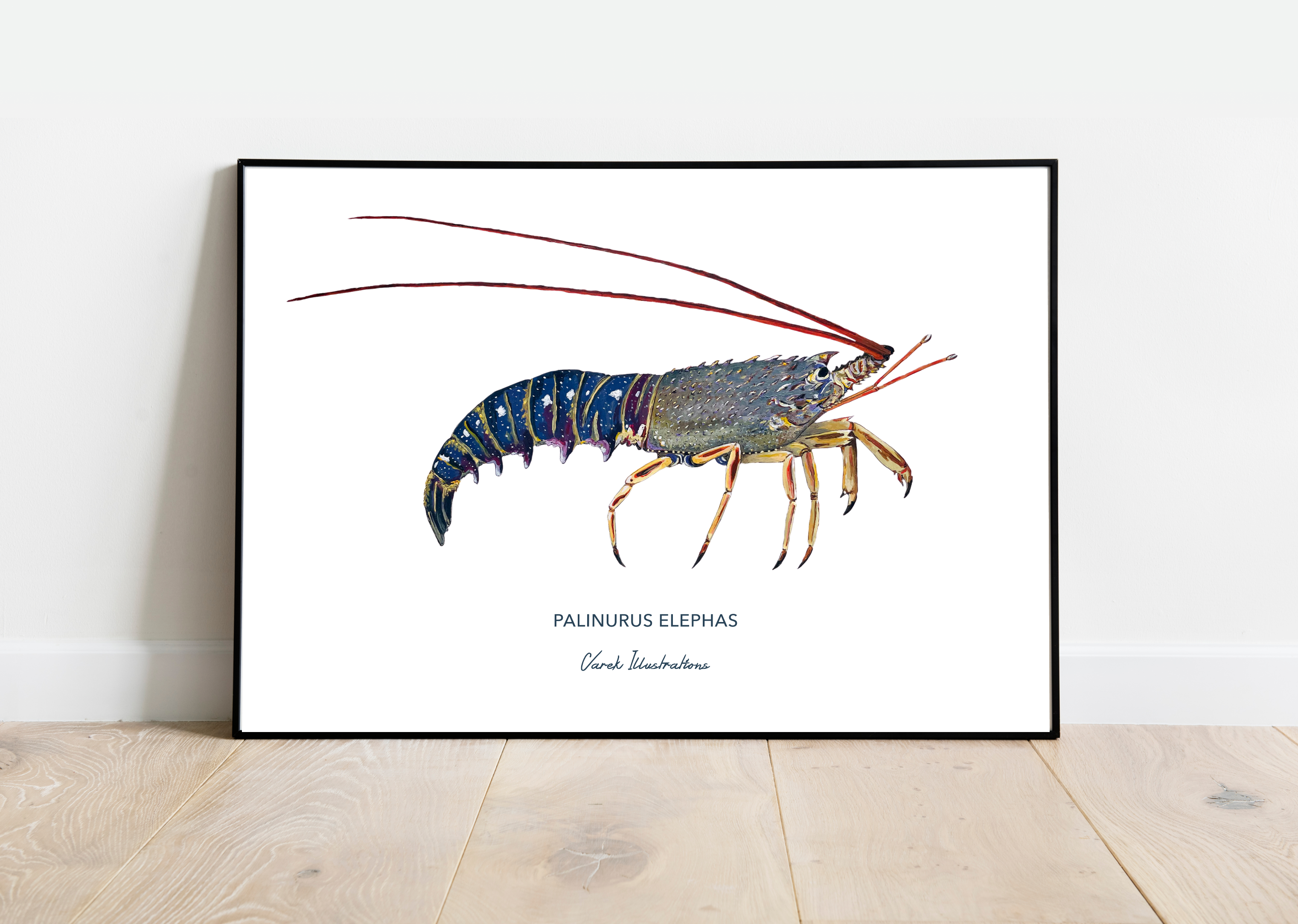 Affiche La Langouste