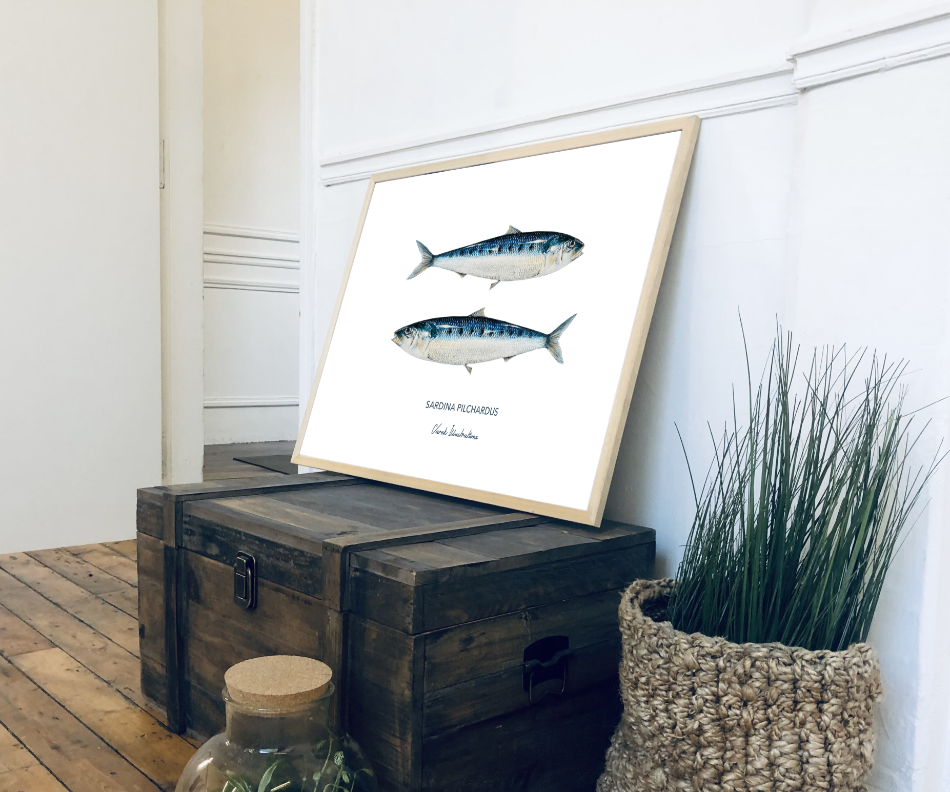 Affiche Les Sardines