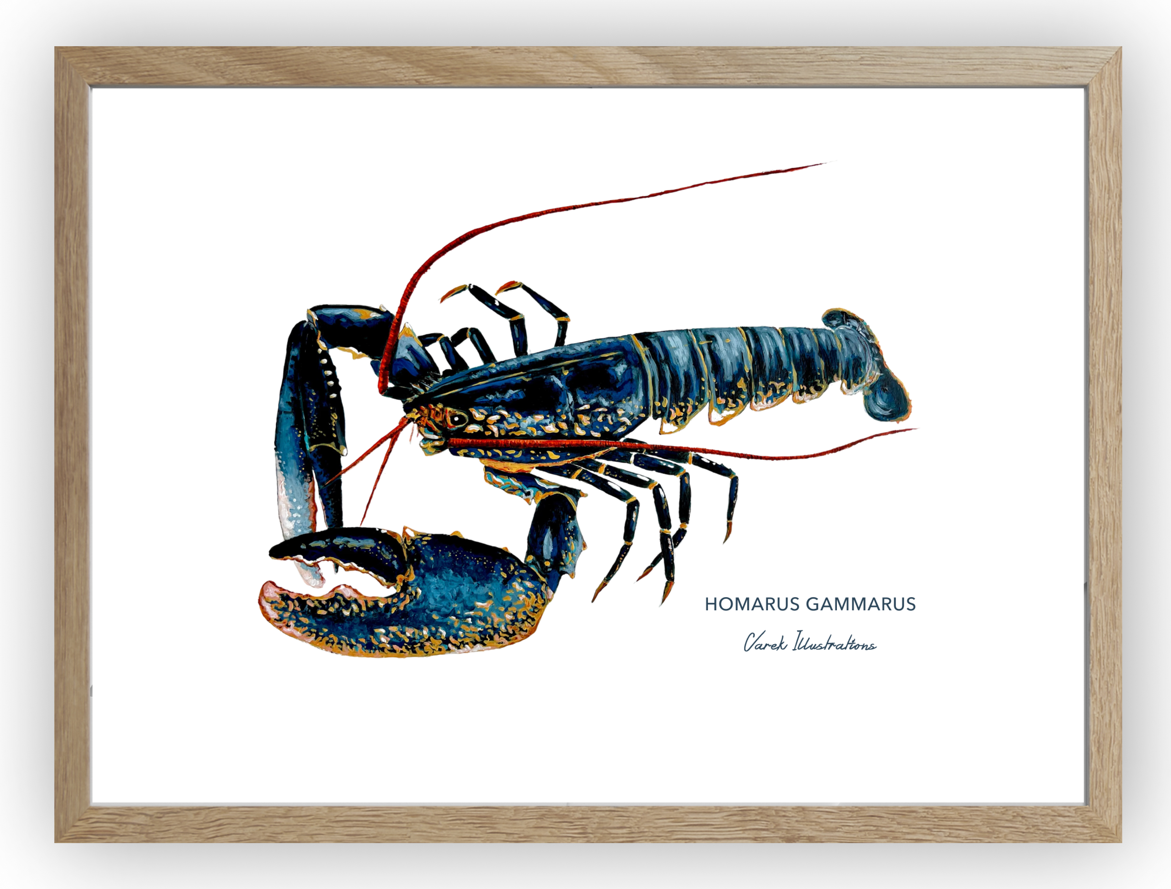 Affiche Le Homard