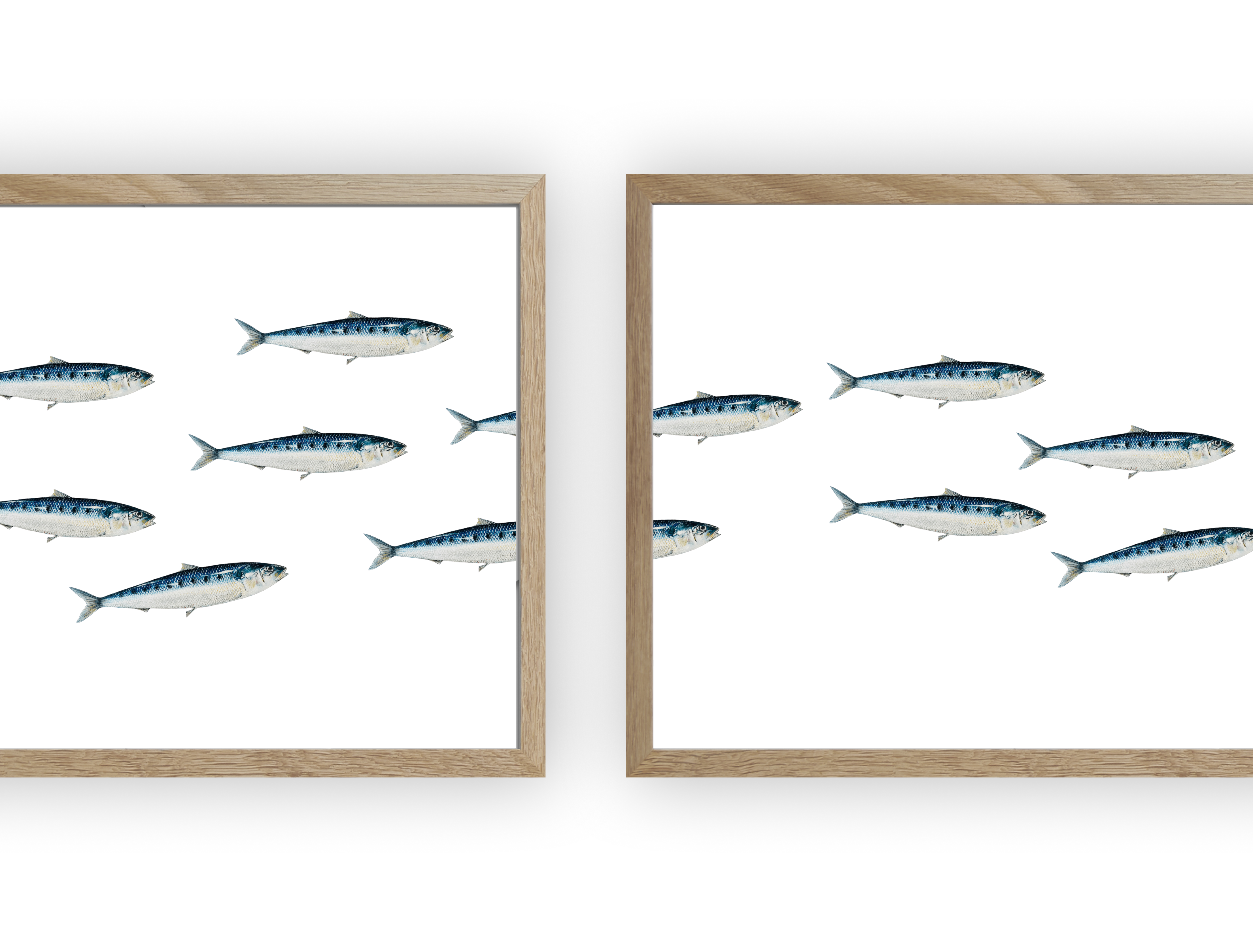 Triptyque Banc de Sardines