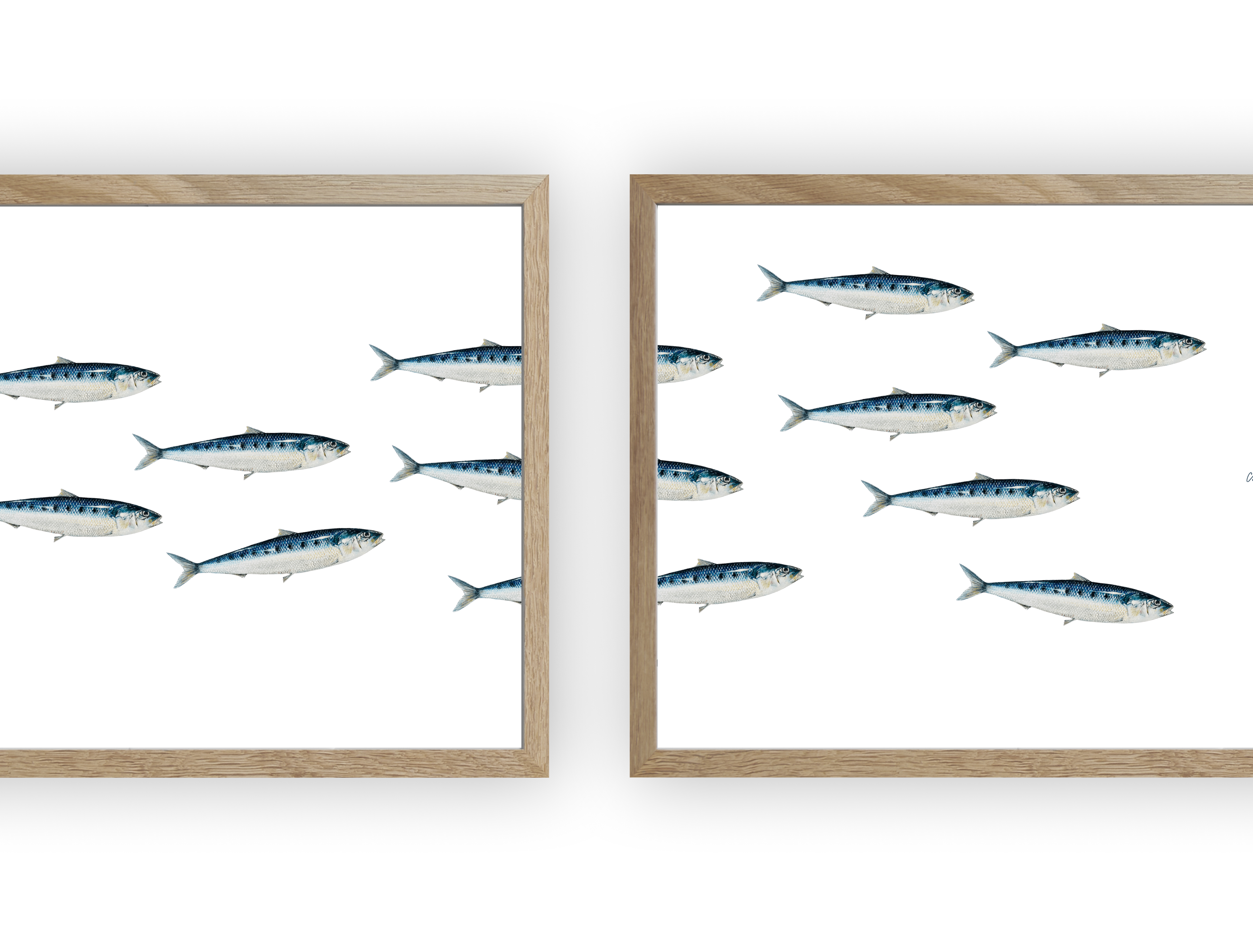 Triptyque Banc de Sardines