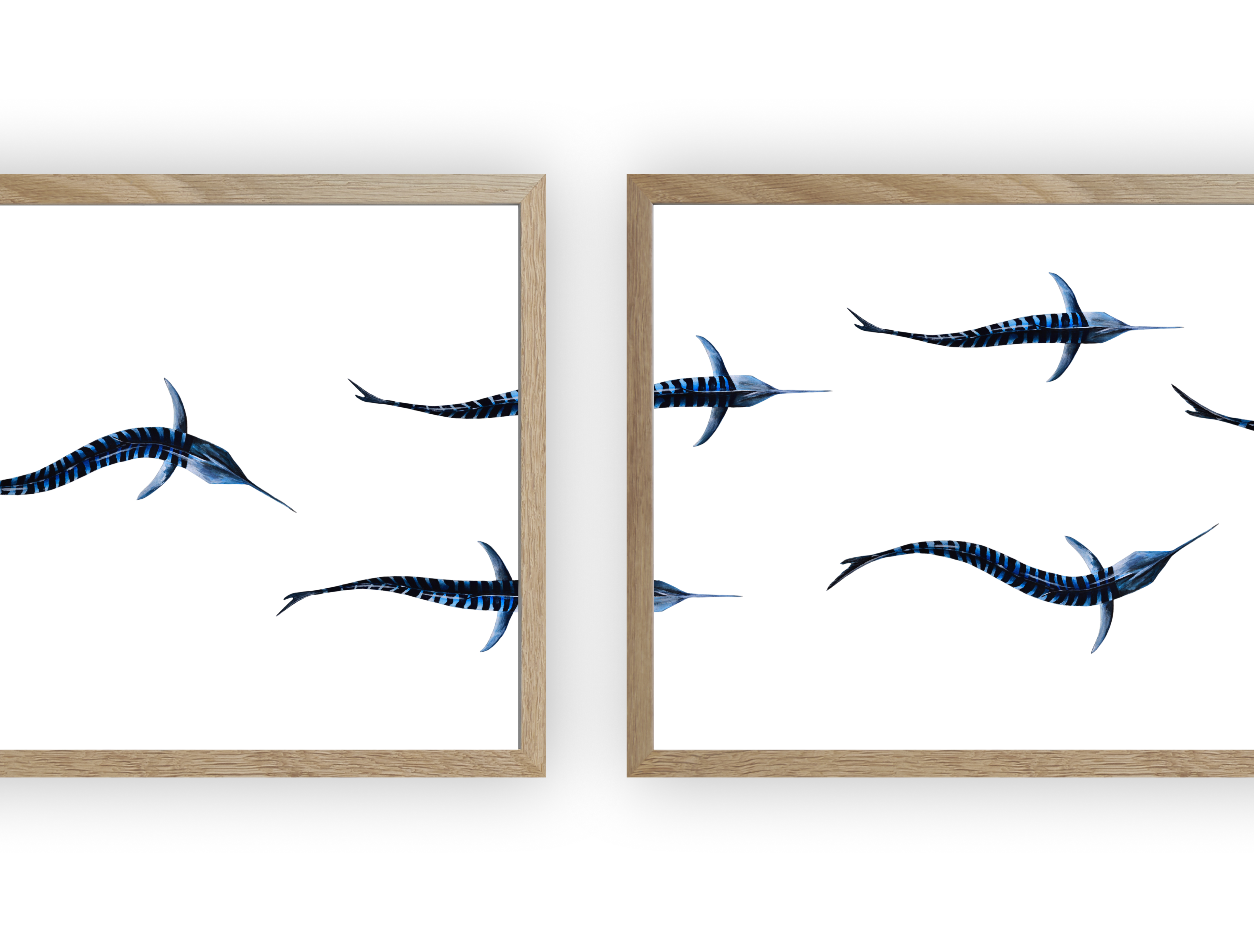 Triptyque : Les marlins vus du ciel