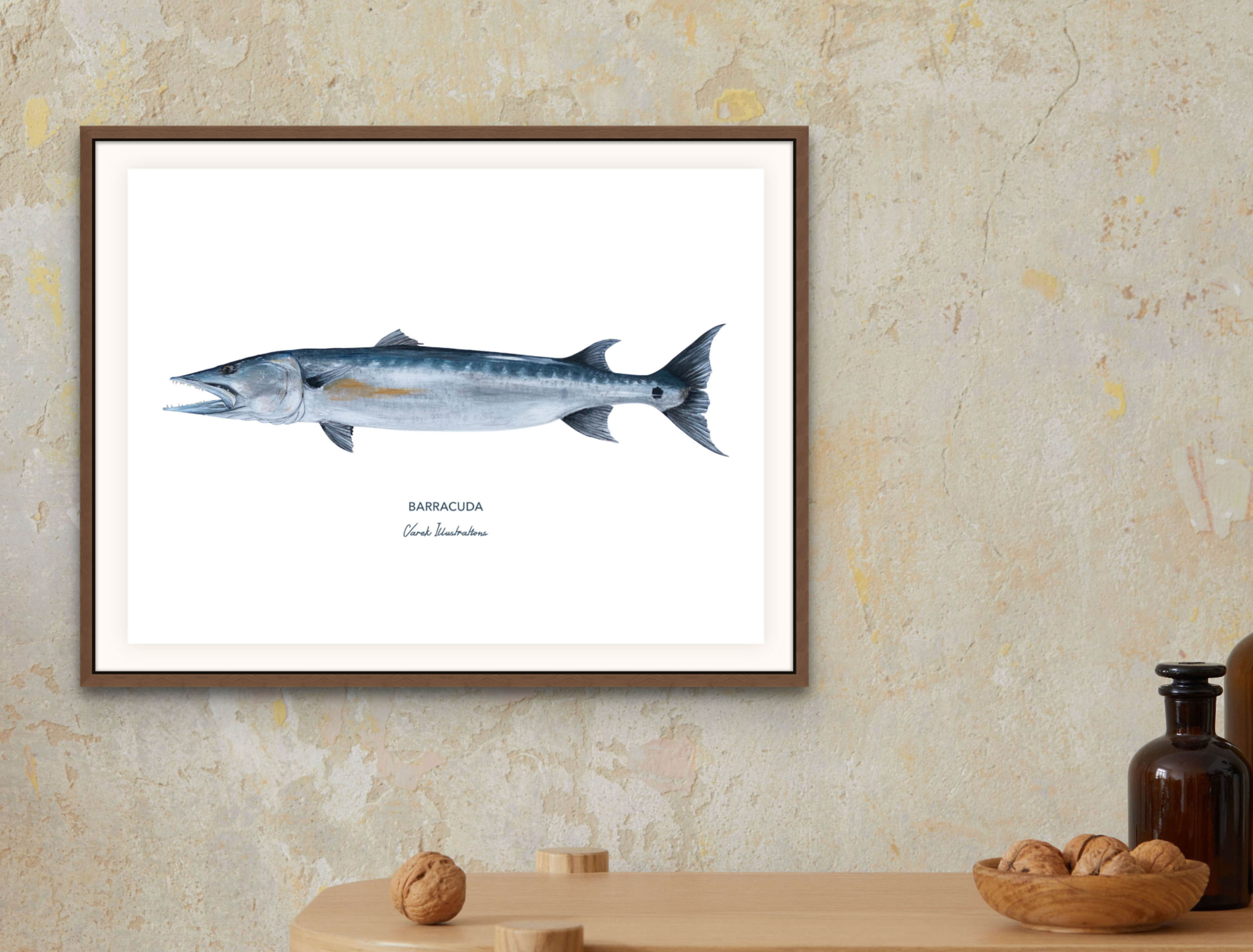 Affiche Le Barracuda