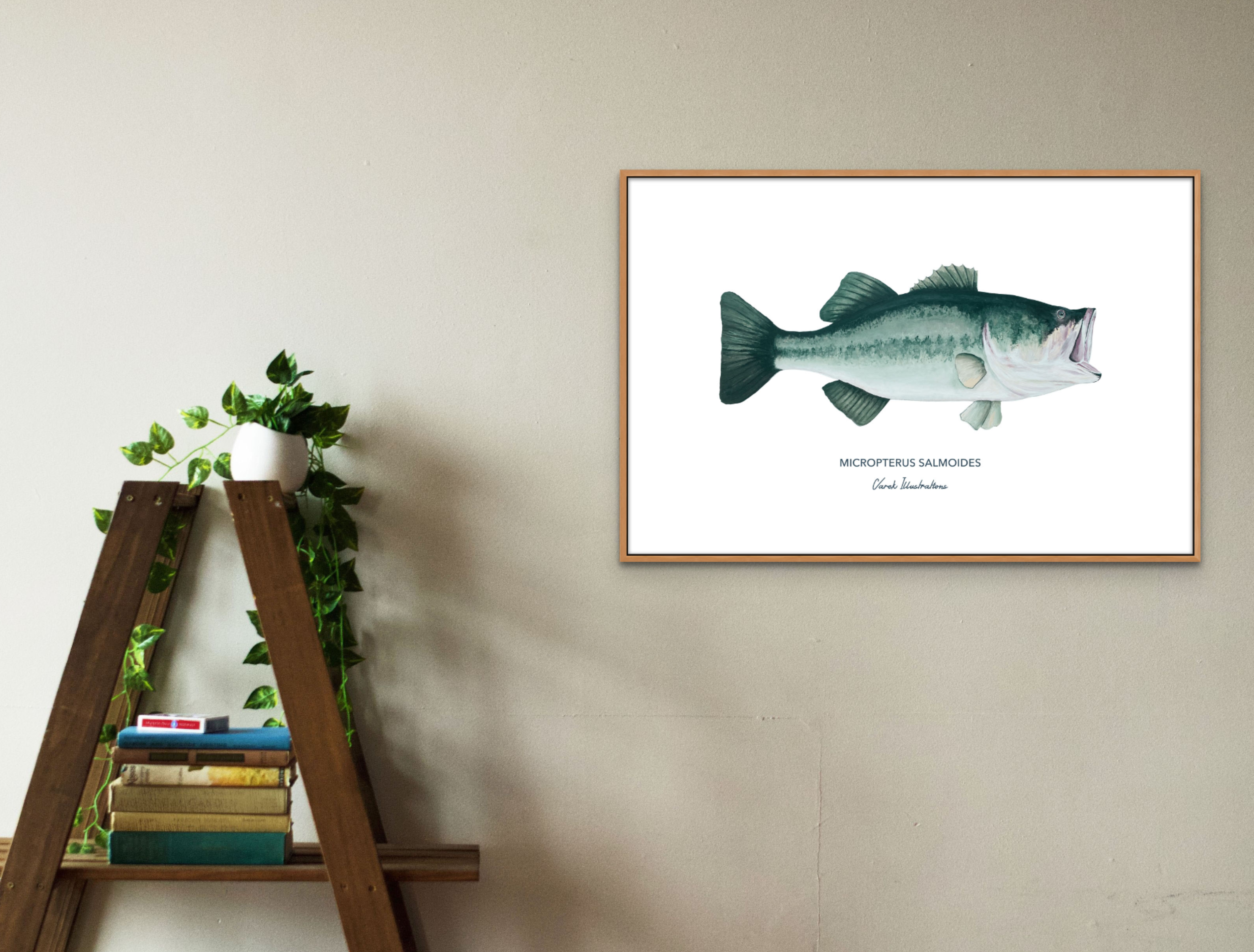 Affiche Le Black Bass