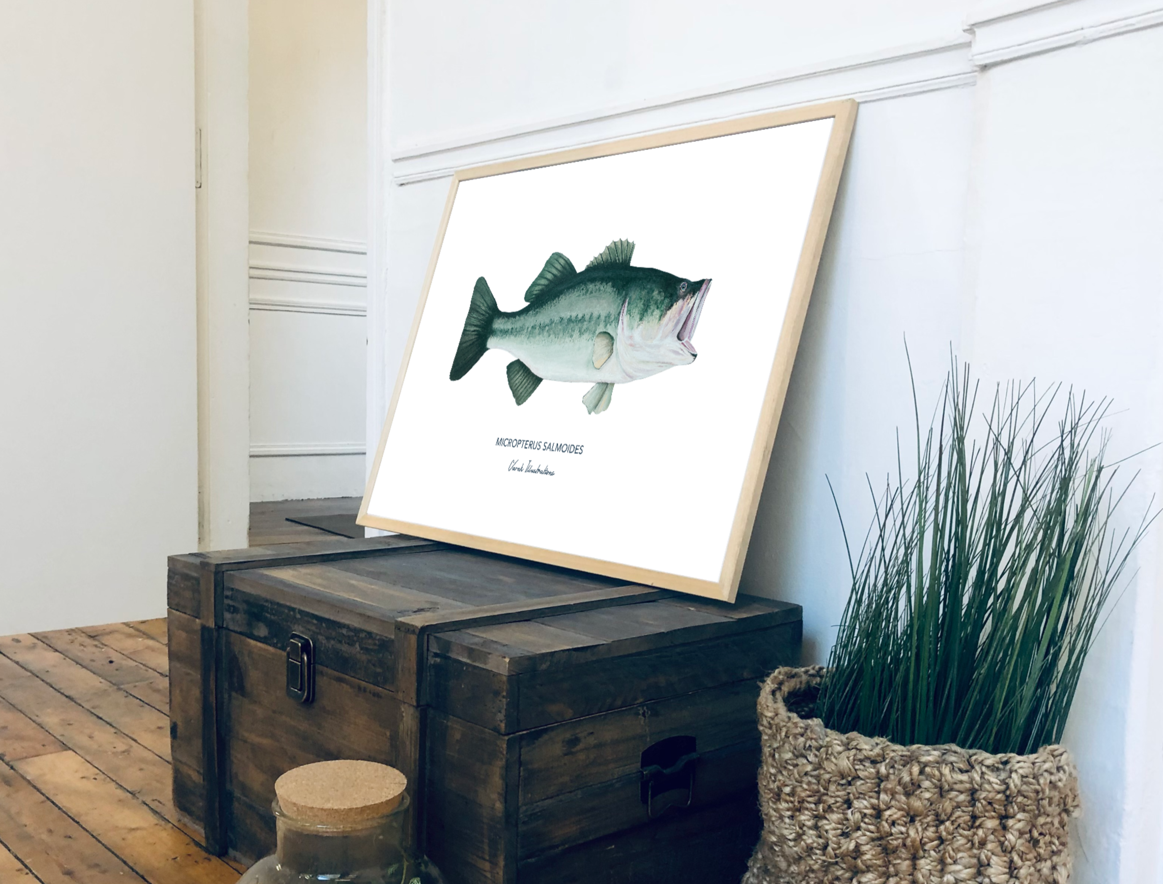 Affiche Le Black Bass
