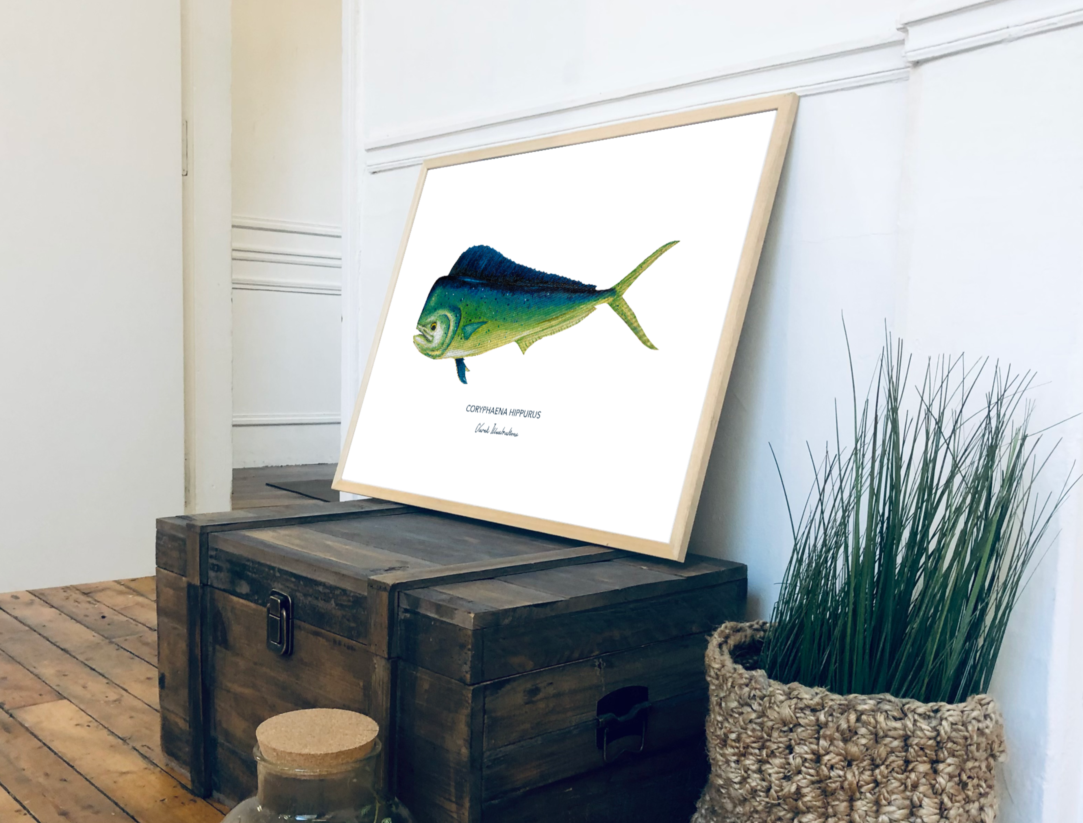 Affiche Le Mahi Mahi
