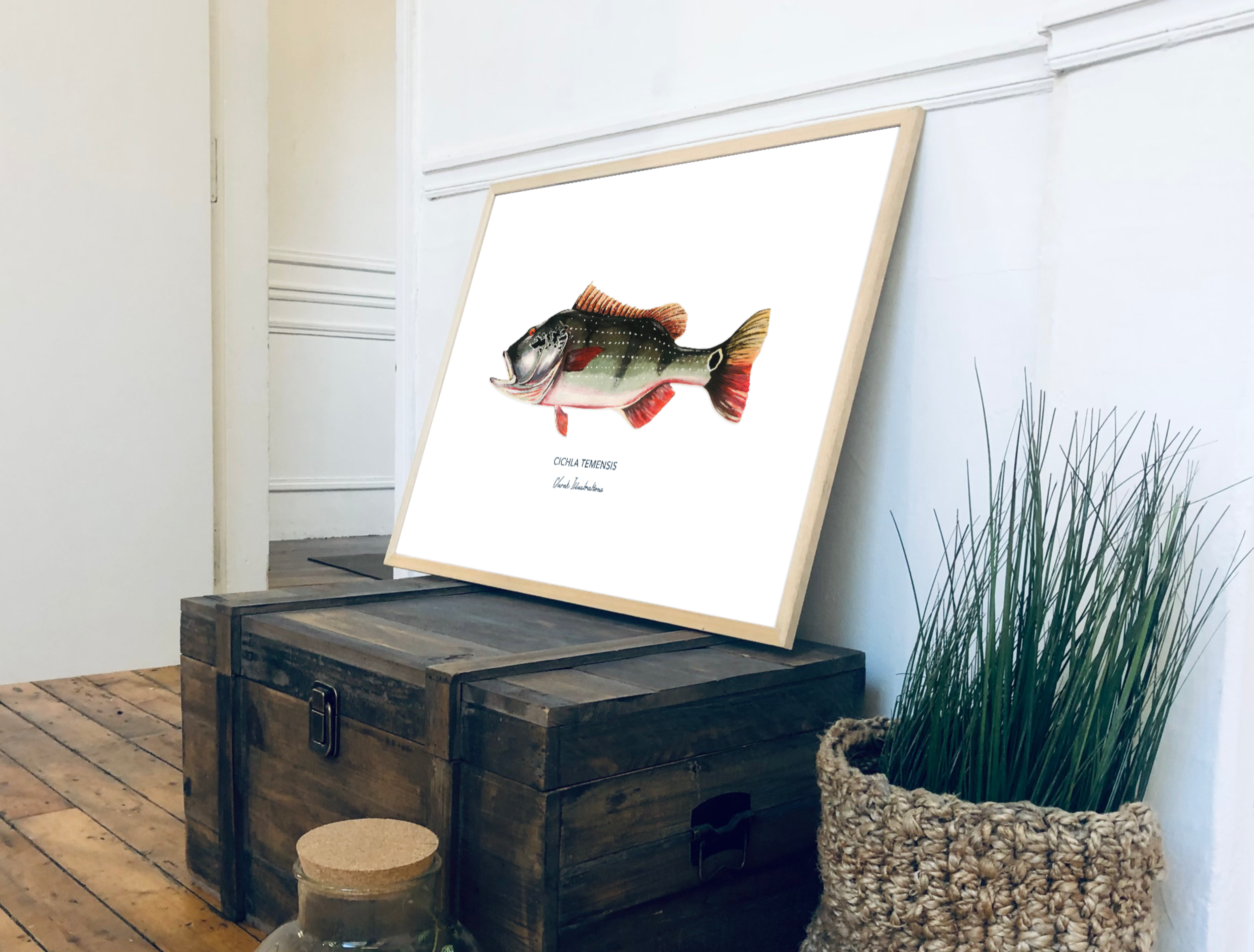 Affiche Le Peacock Bass