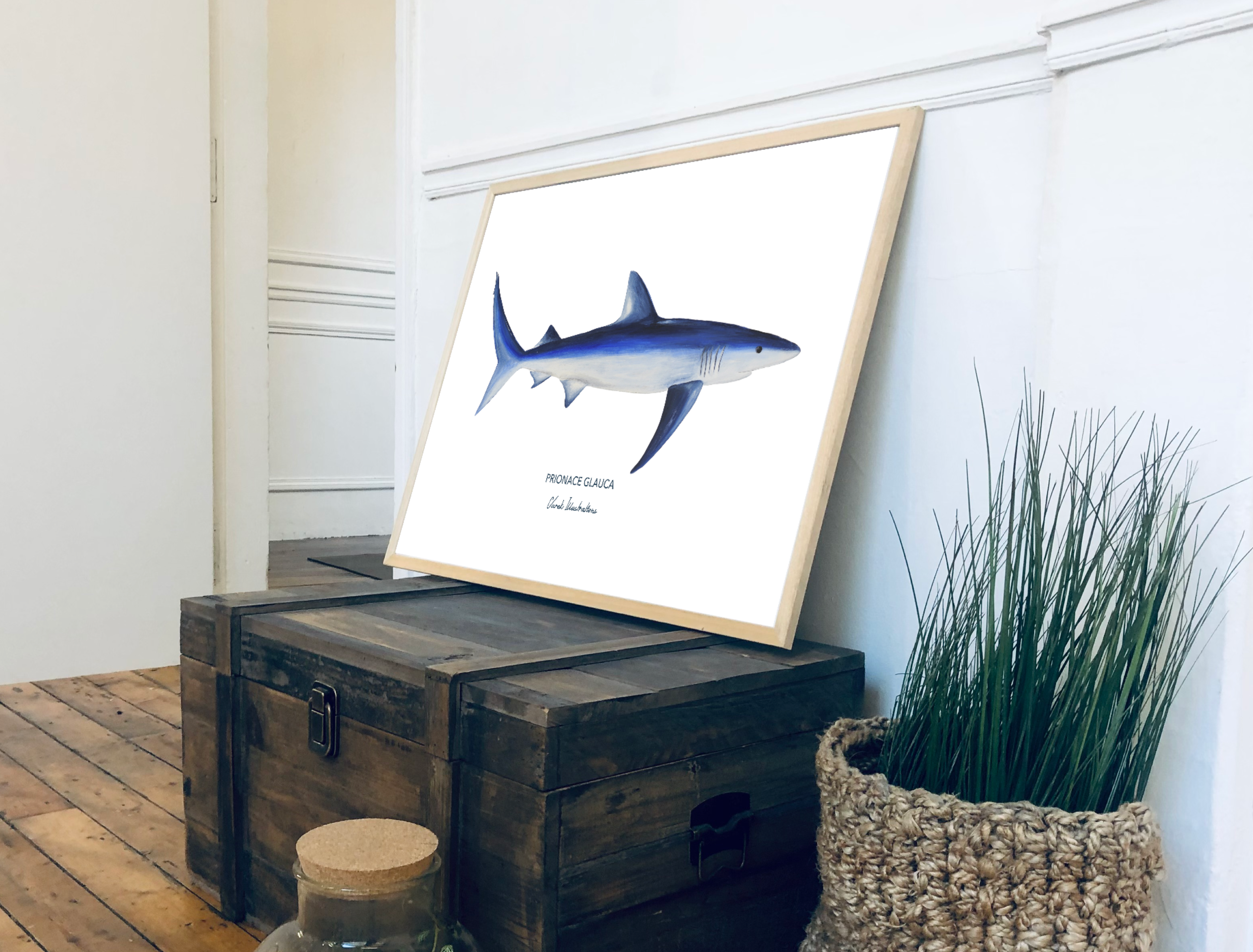 Affiche Le Requin Peau Bleue