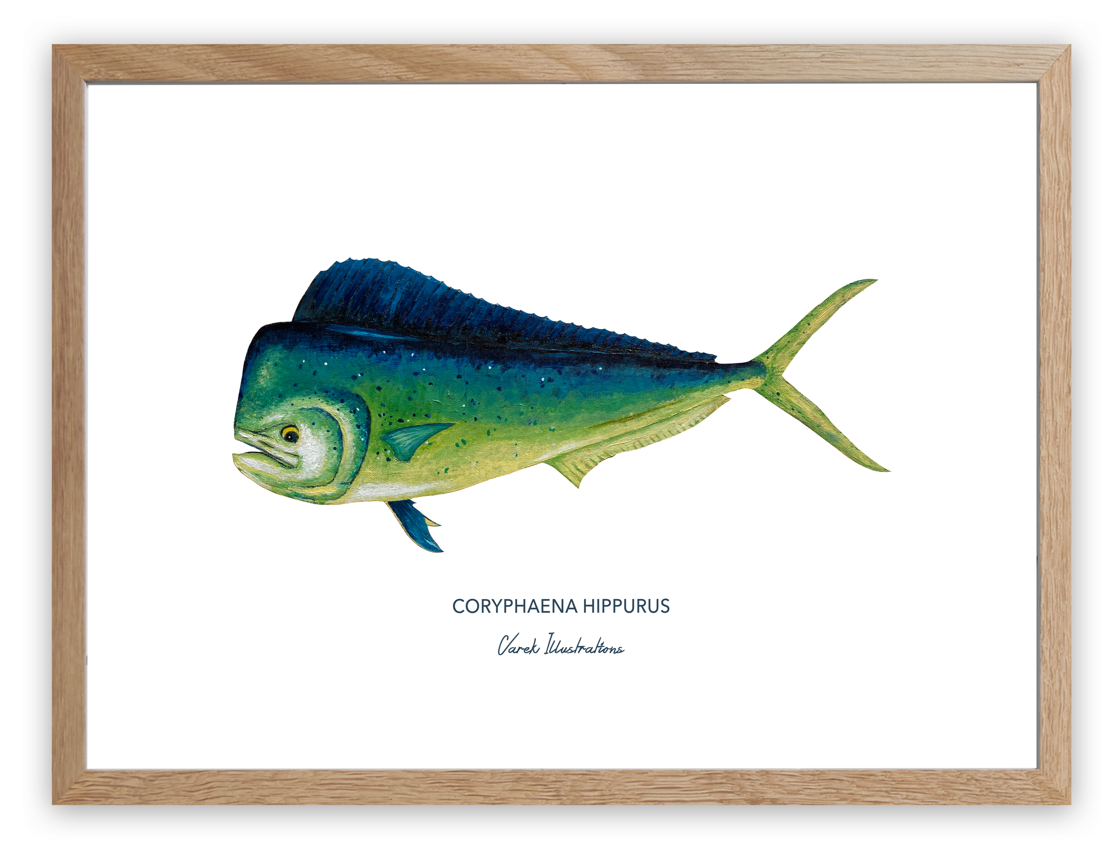 Affiche Le Mahi Mahi