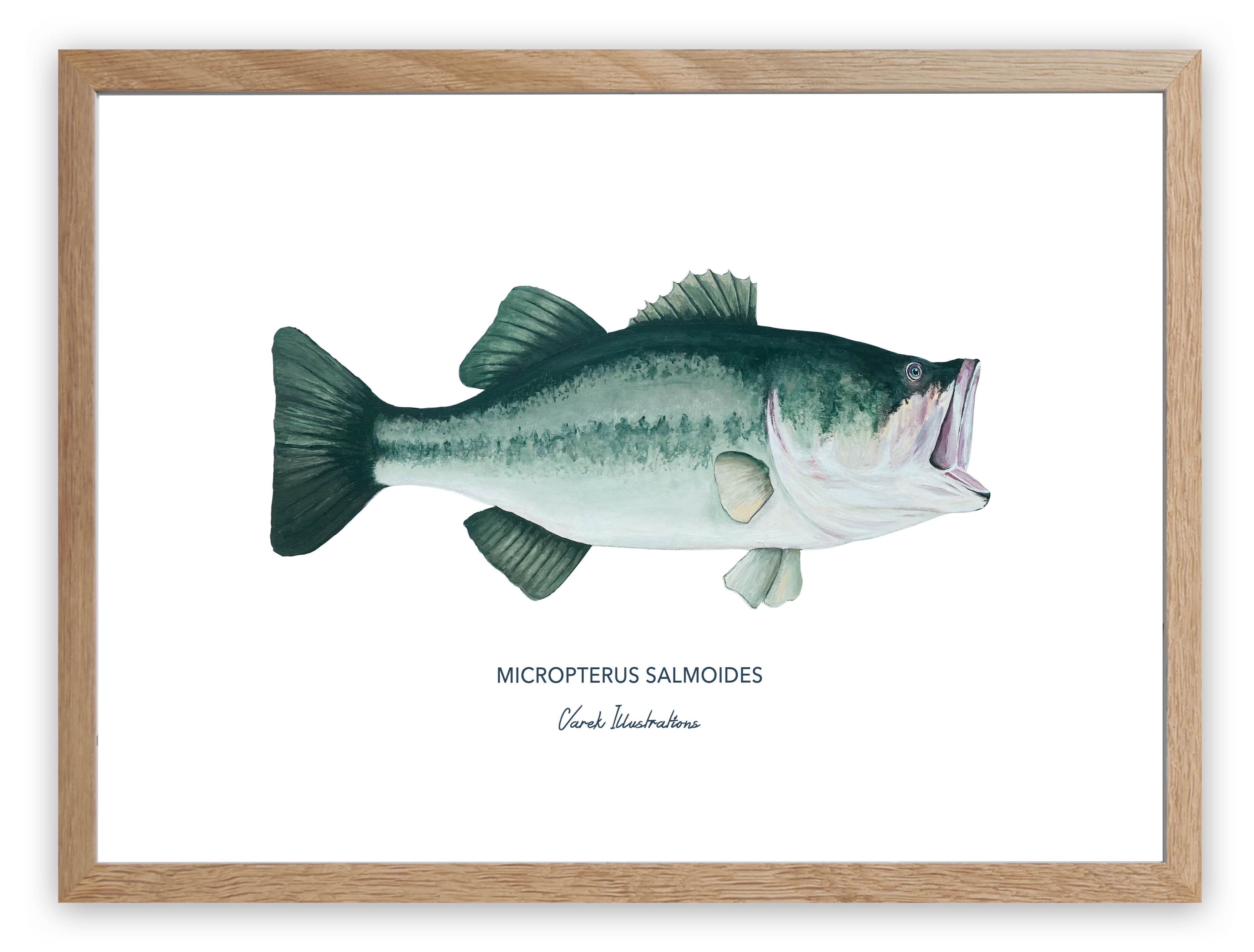 Affiche Le Black Bass