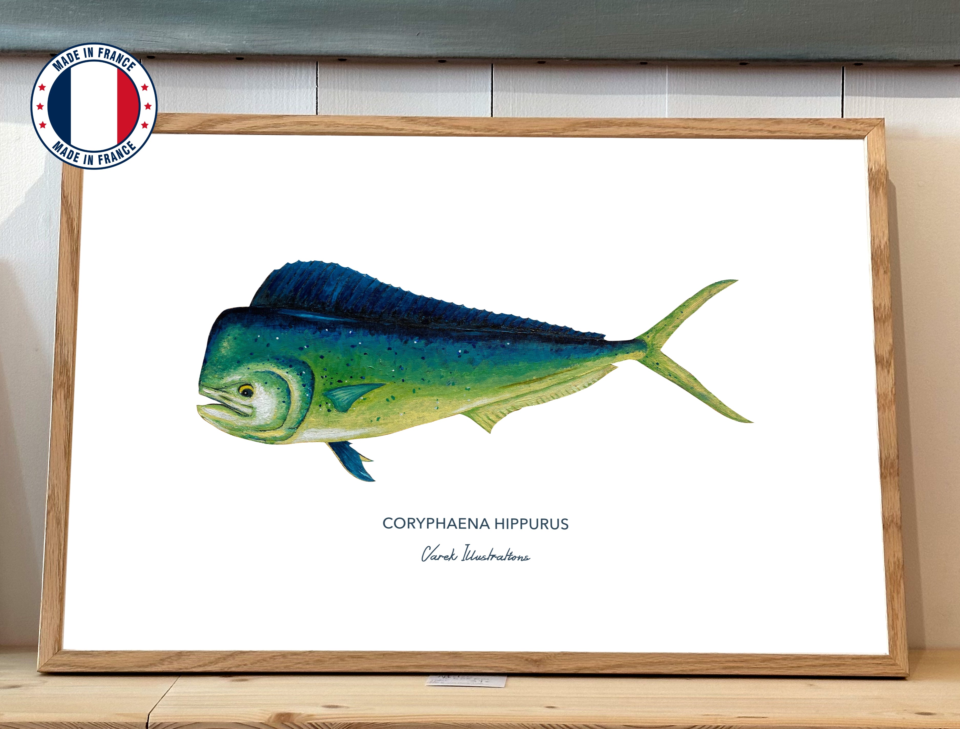 Affiche Le Mahi Mahi - Papier d'art en 250gr 🌱