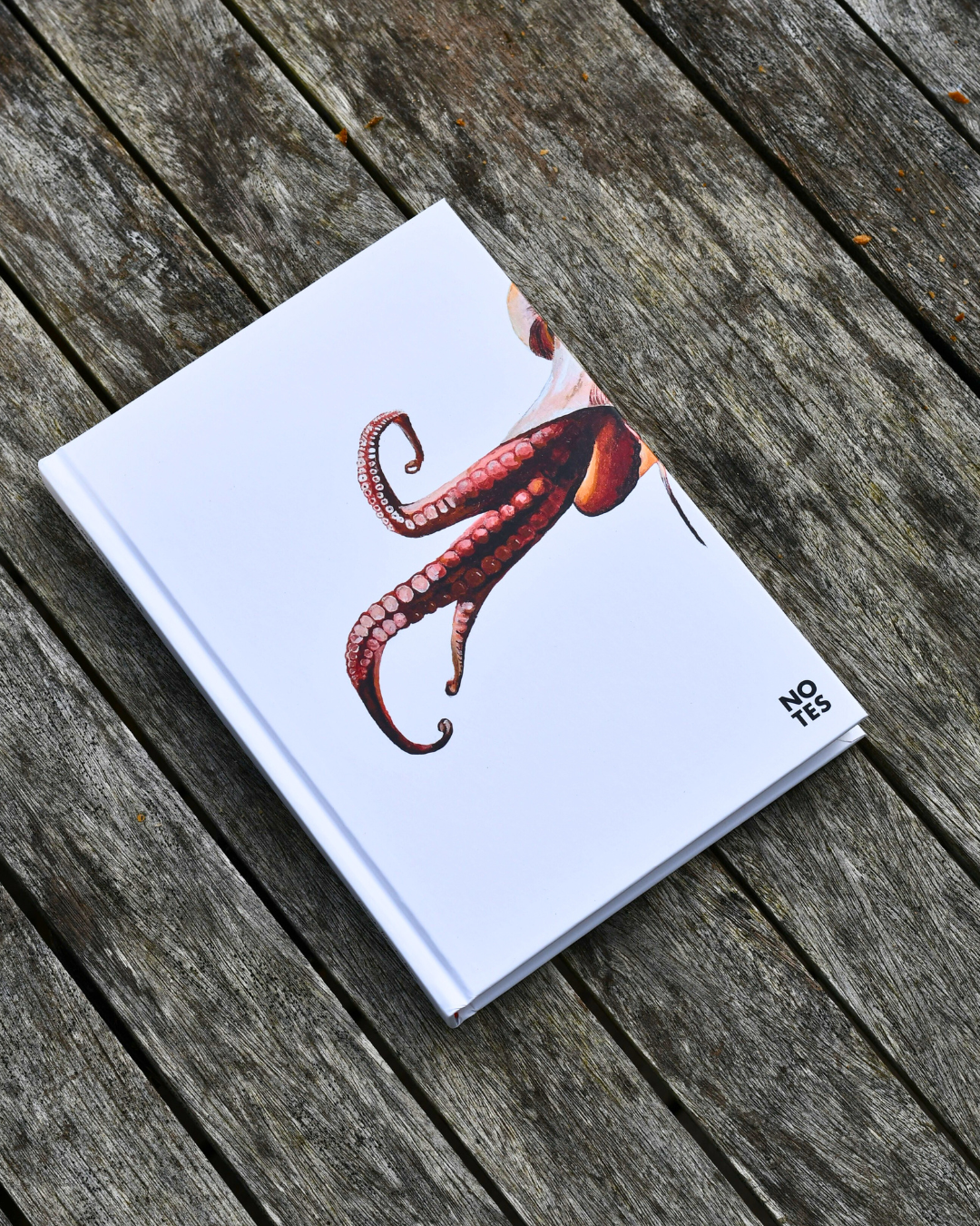 Carnet de note A5 : Le Poulpe