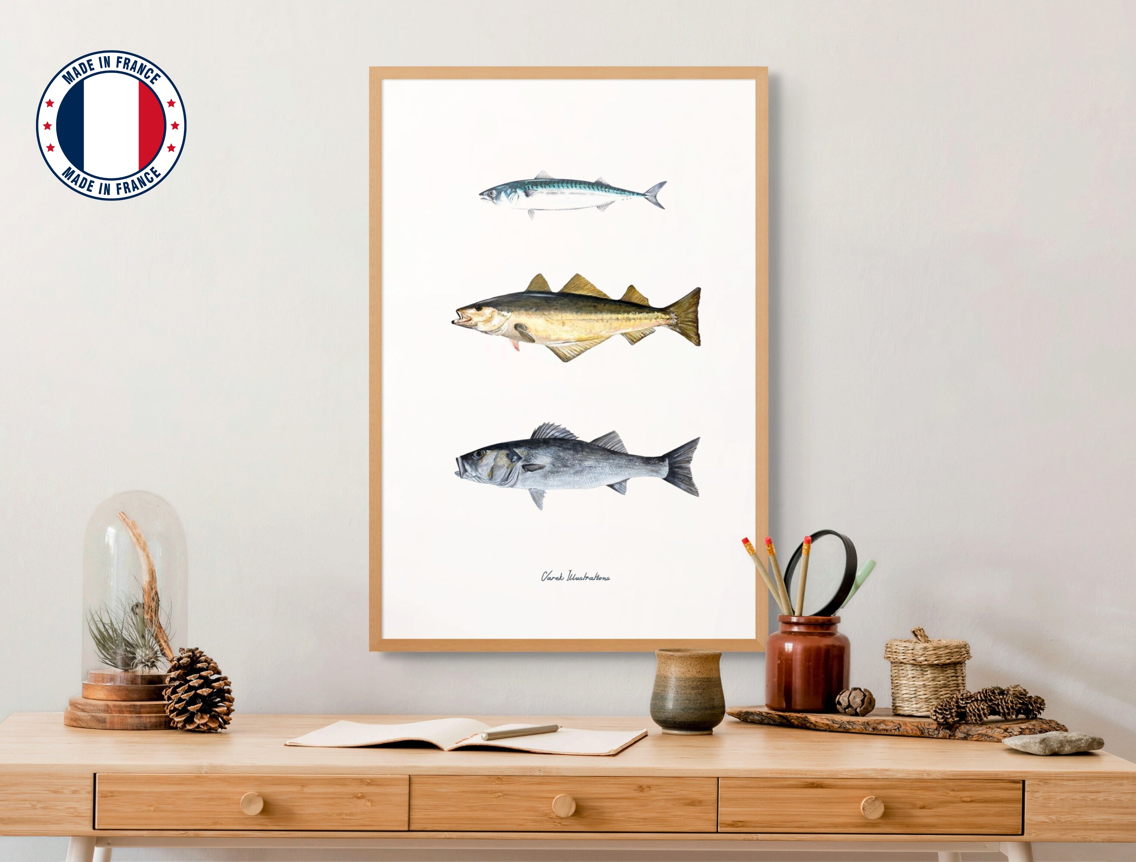 Affiche : Les Poissons de nos Côtes