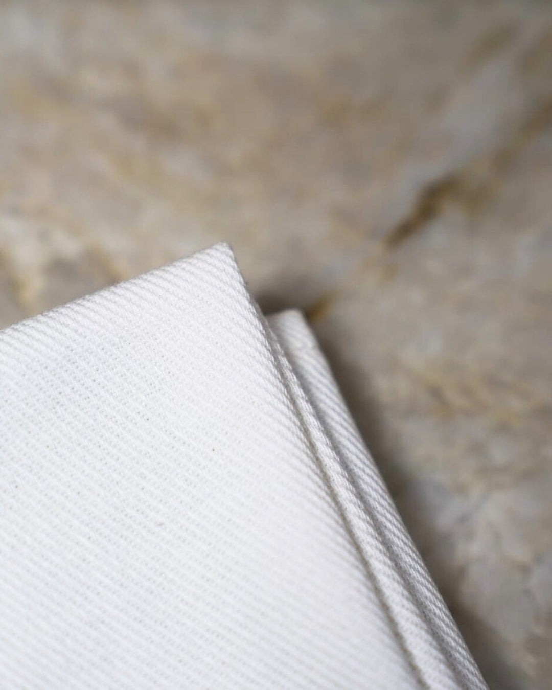 Torchon 100% coton : Le Bar en Papillote