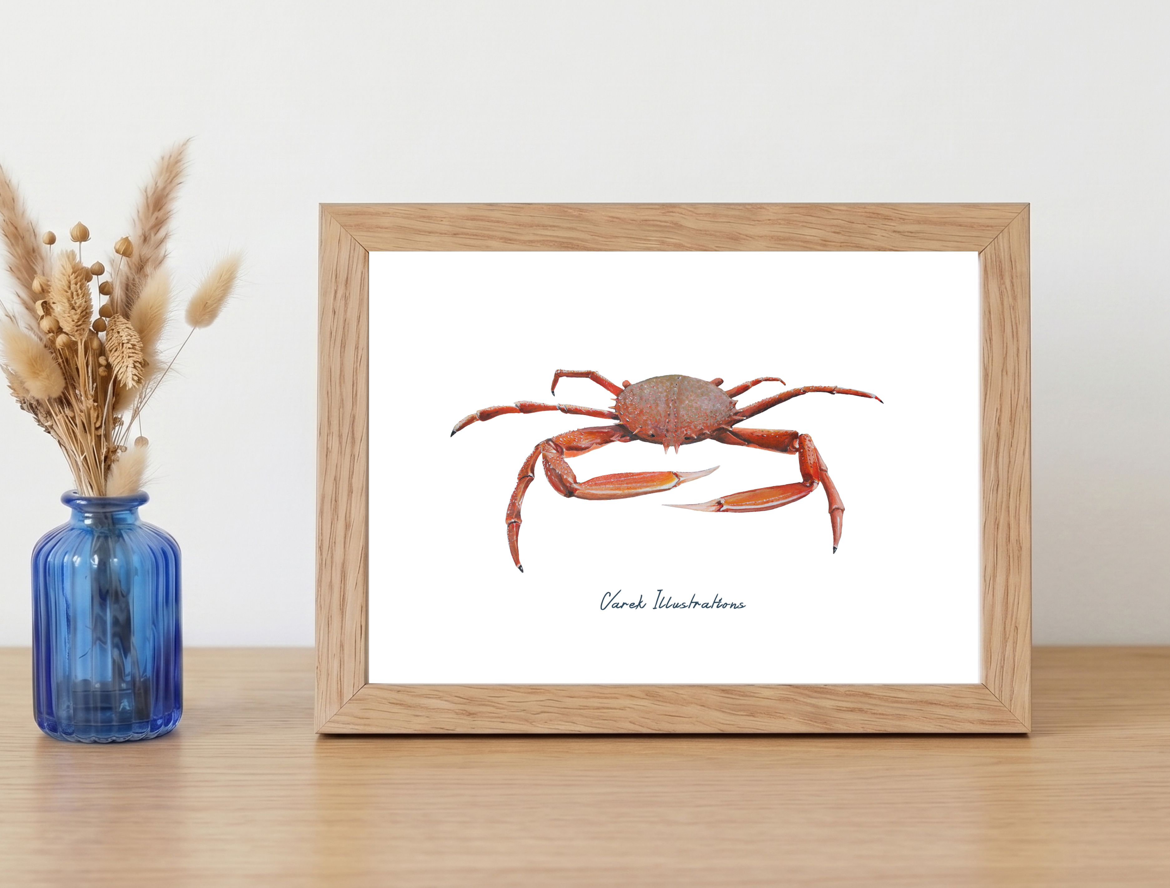 Affiche L'Araignée De Mer : Petit format encadré (A10)