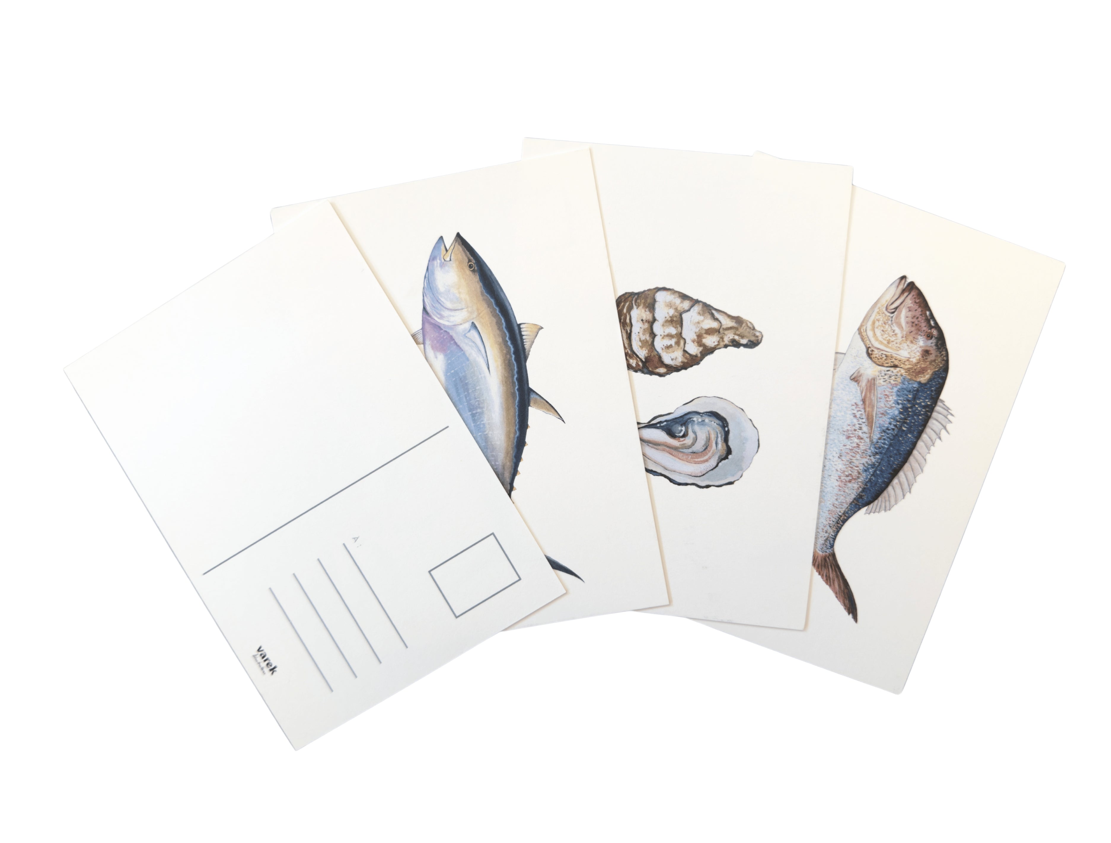 Lot de 15 cartes postales : La vie aquatique sur papier d'art