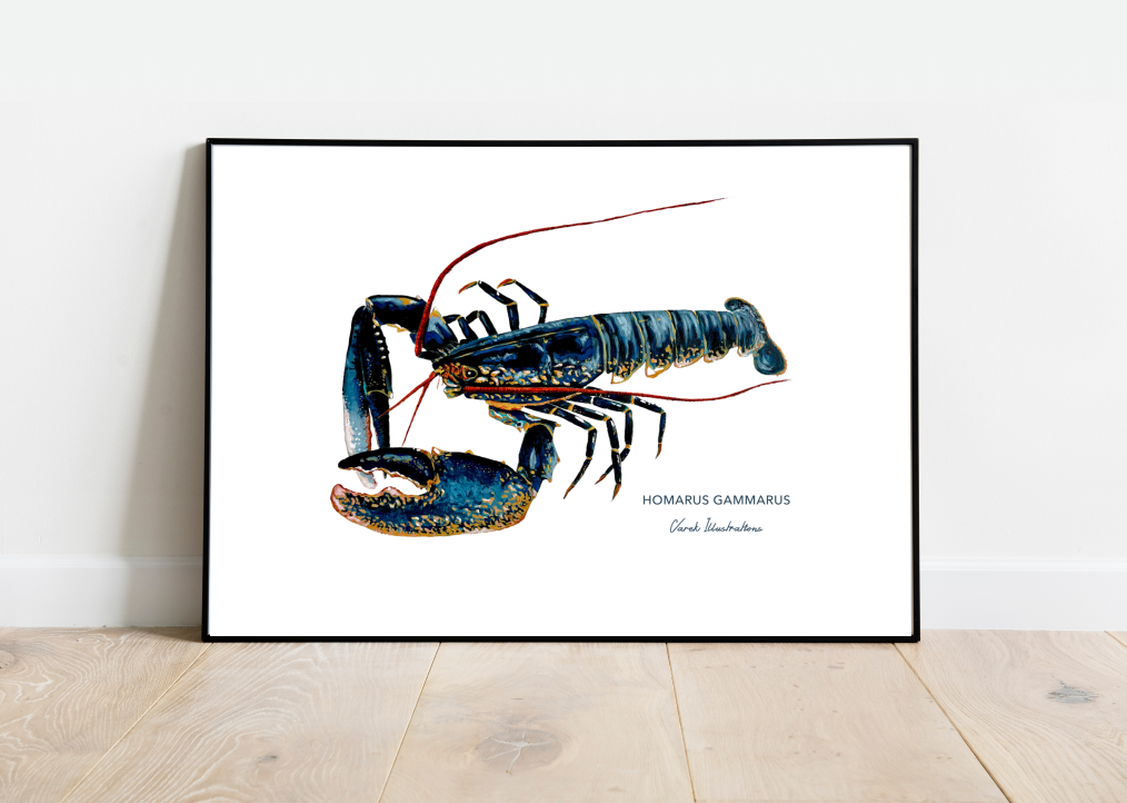 Affiche Le Homard