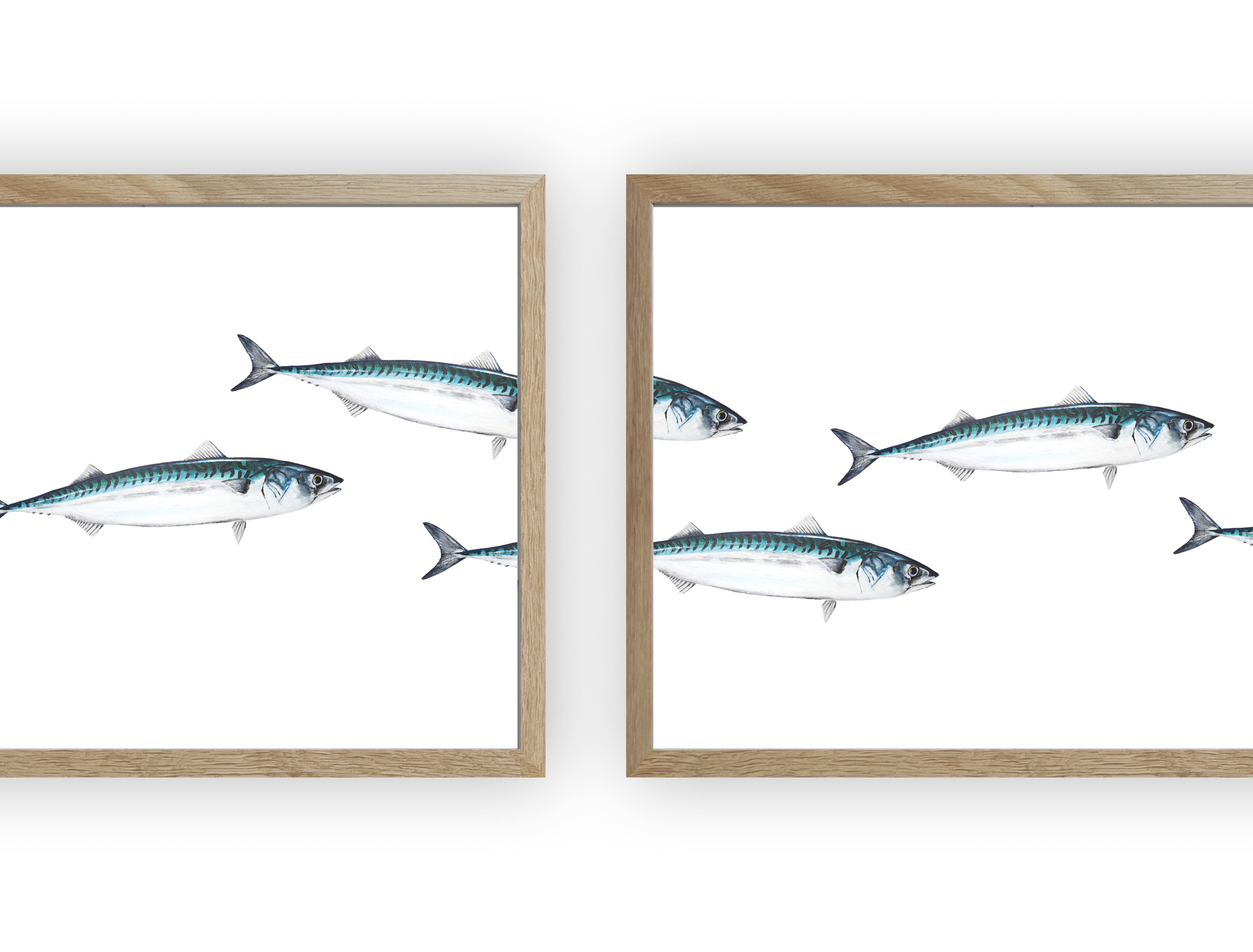Triptyque Banc de Maquereau