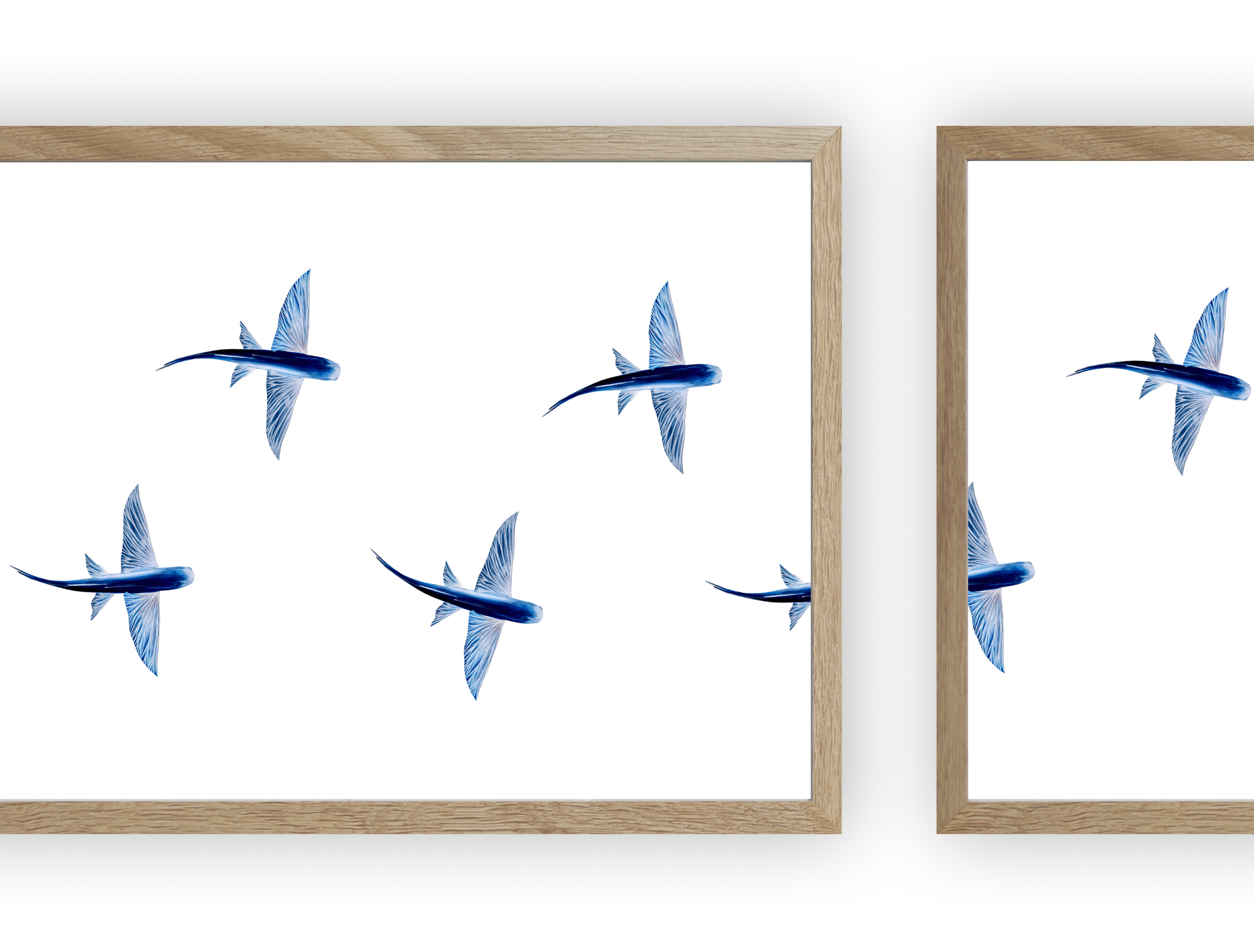 Triptyque : Les poissons volants vus du ciel