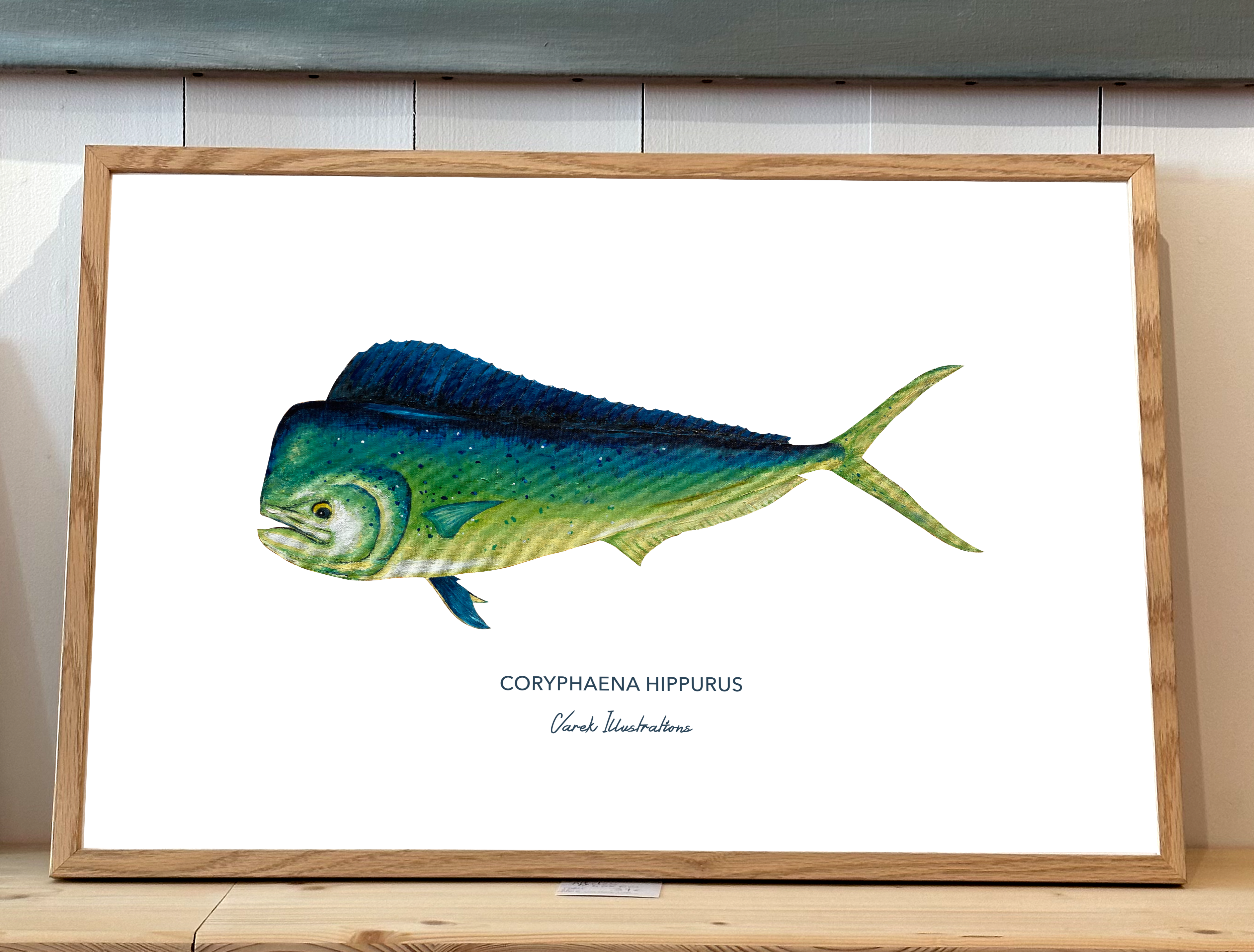 Affiche Le Mahi Mahi - Papier d'art en 250gr 🌱