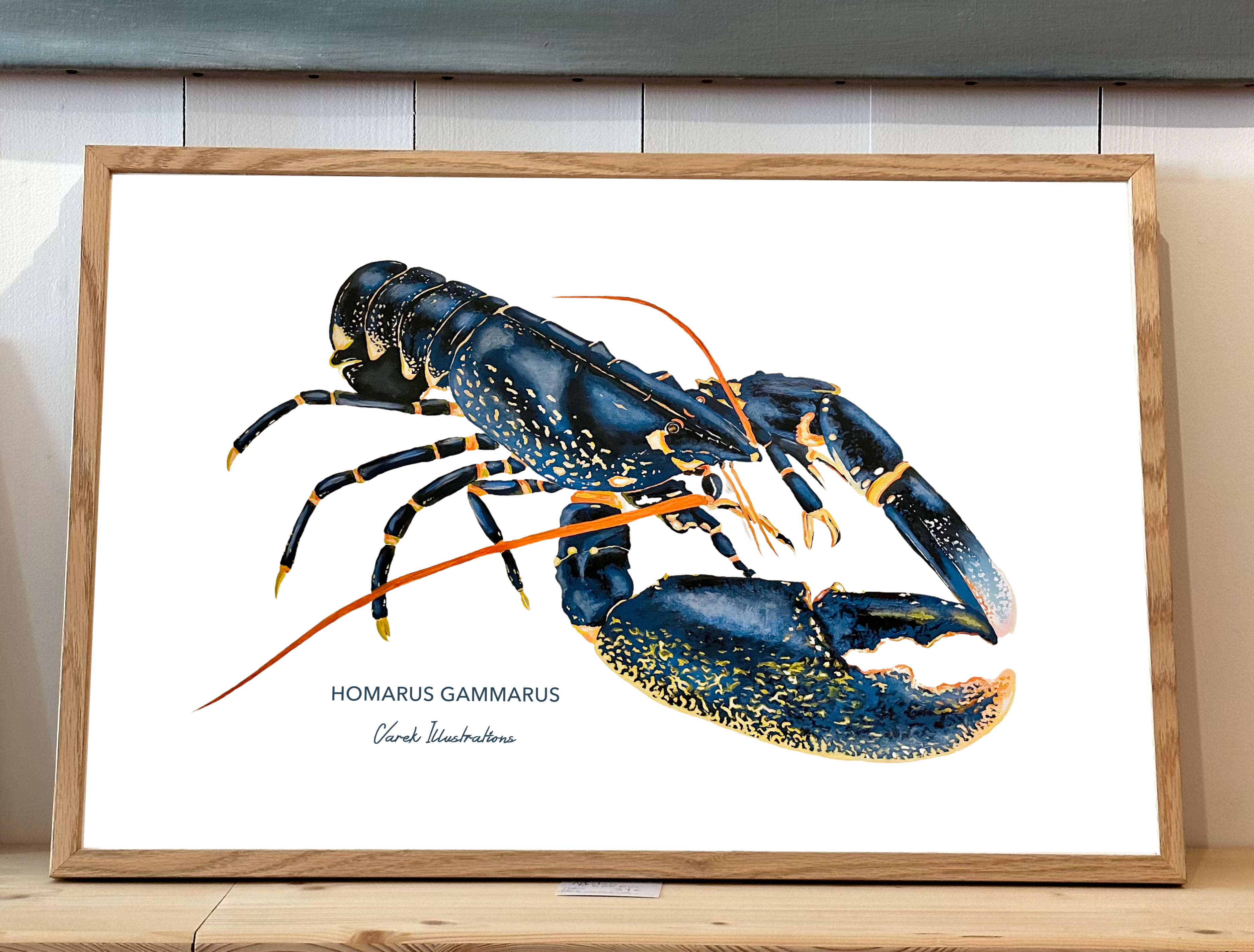 Affiche Le Homard - Papier d'art en 250gr 🌱