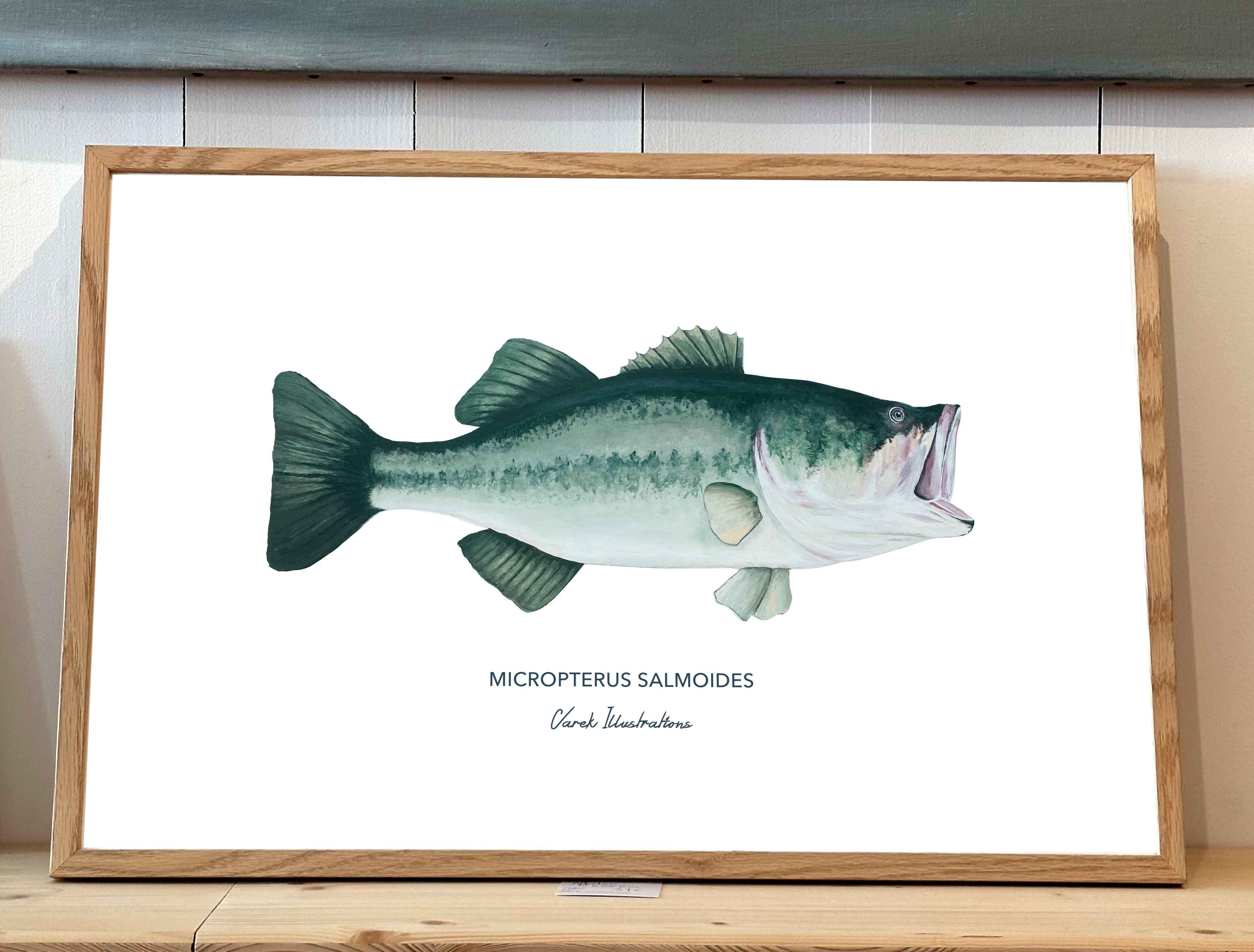 Affiche Le Black Bass - Papier d'art en 250gr 🌱